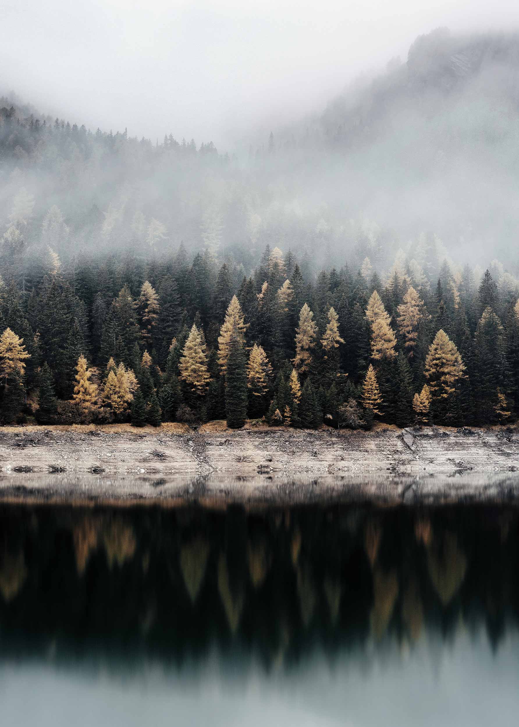 Calm Lake Poster - Forest photography (40x50 cm)