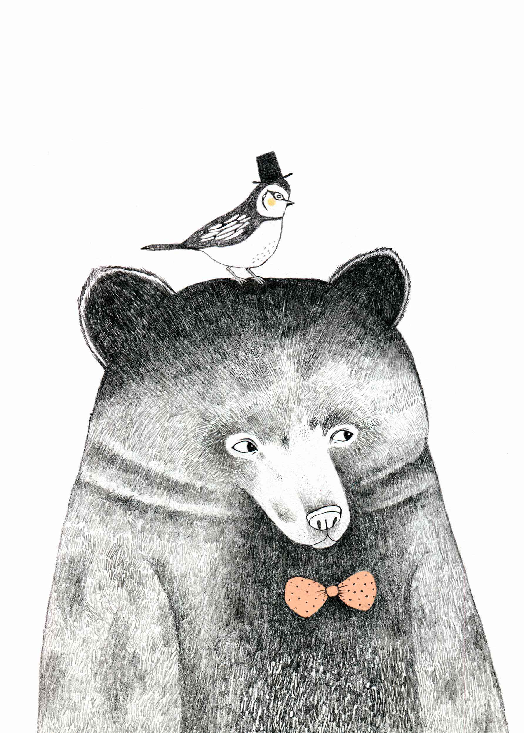 Bear Awake plakat - Dyreillustration (40x50 cm)