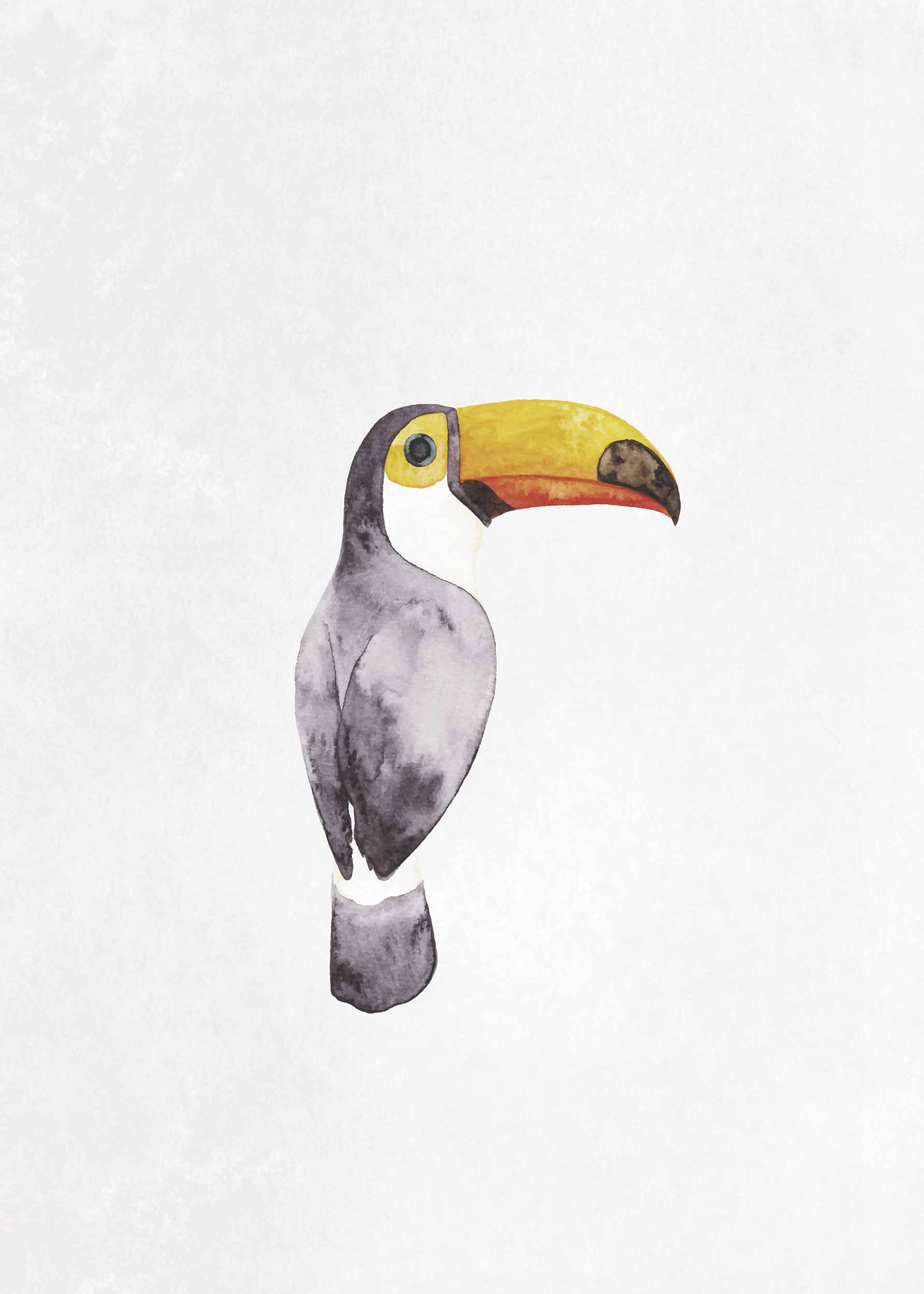 Toucan plakat - Dyreakvarel (21x30 cm)