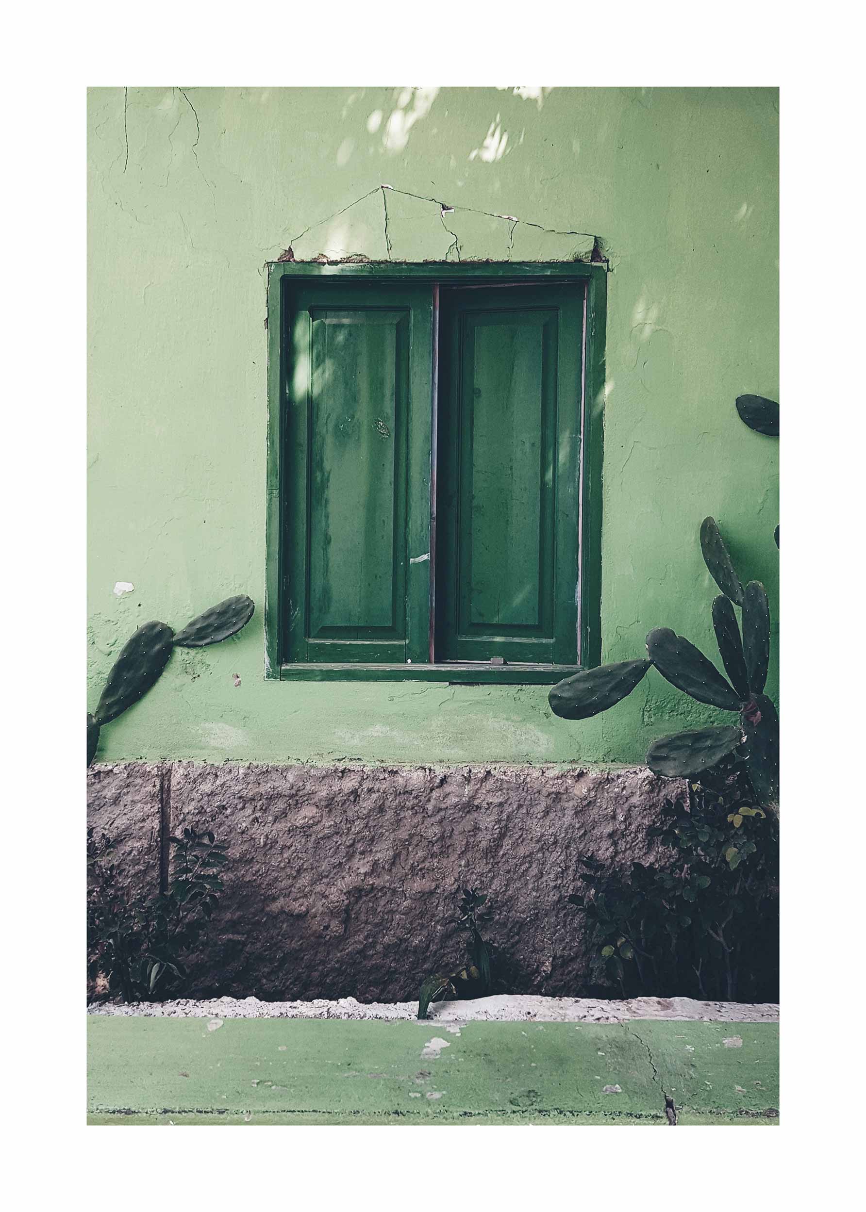 Green House poster - Window photography (30x40 cm)