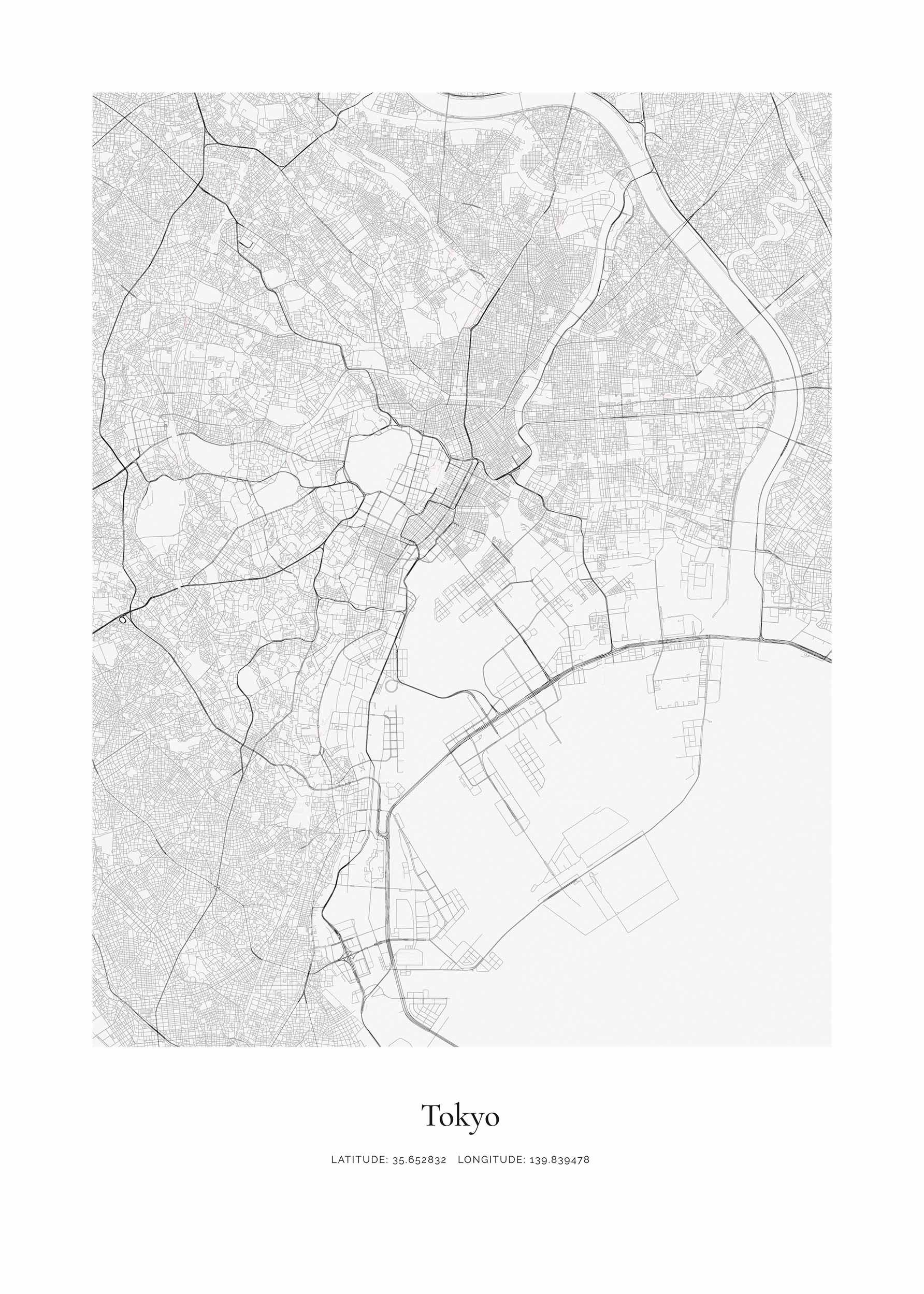 Tokyo Map poster - City illustration (50x70 cm)