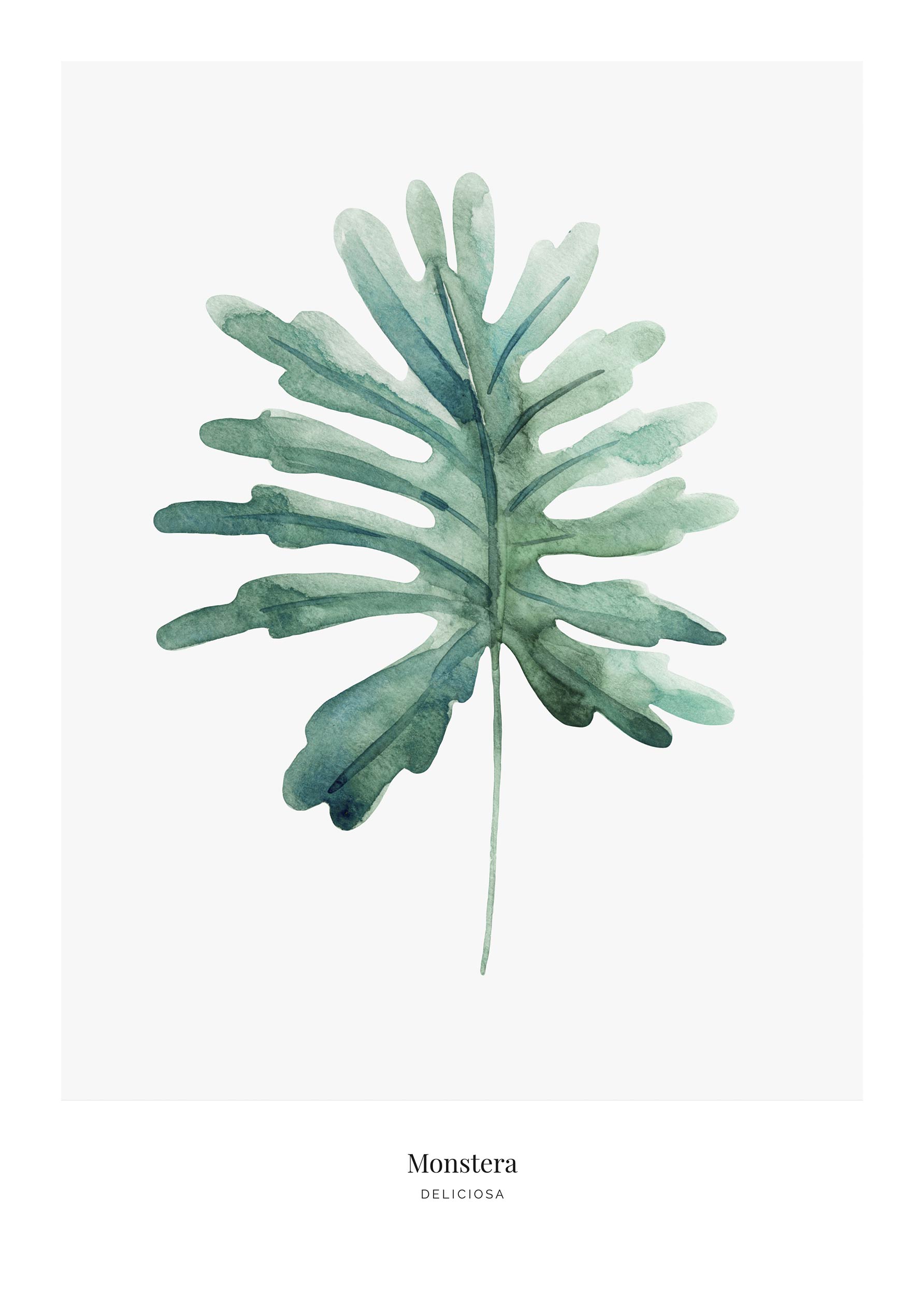Monstera No.3 Poster - Blattillustration (40x50 cm)