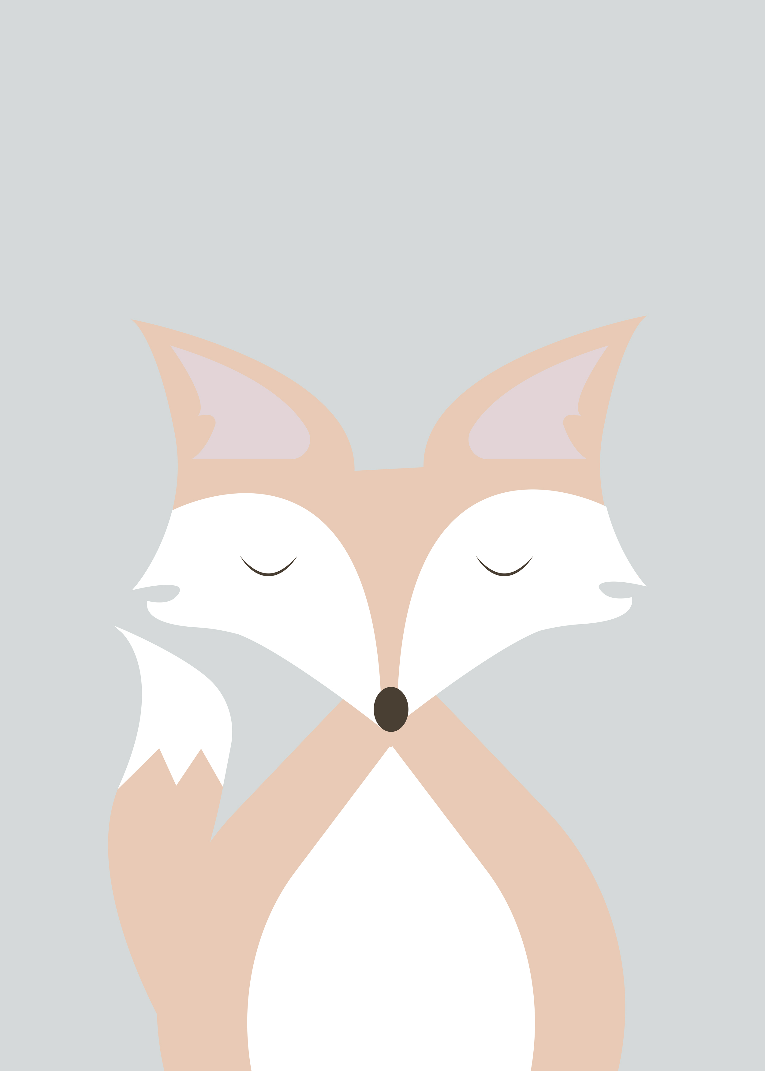 Sleeping Fox poster - Animal illustration (40x50 cm)