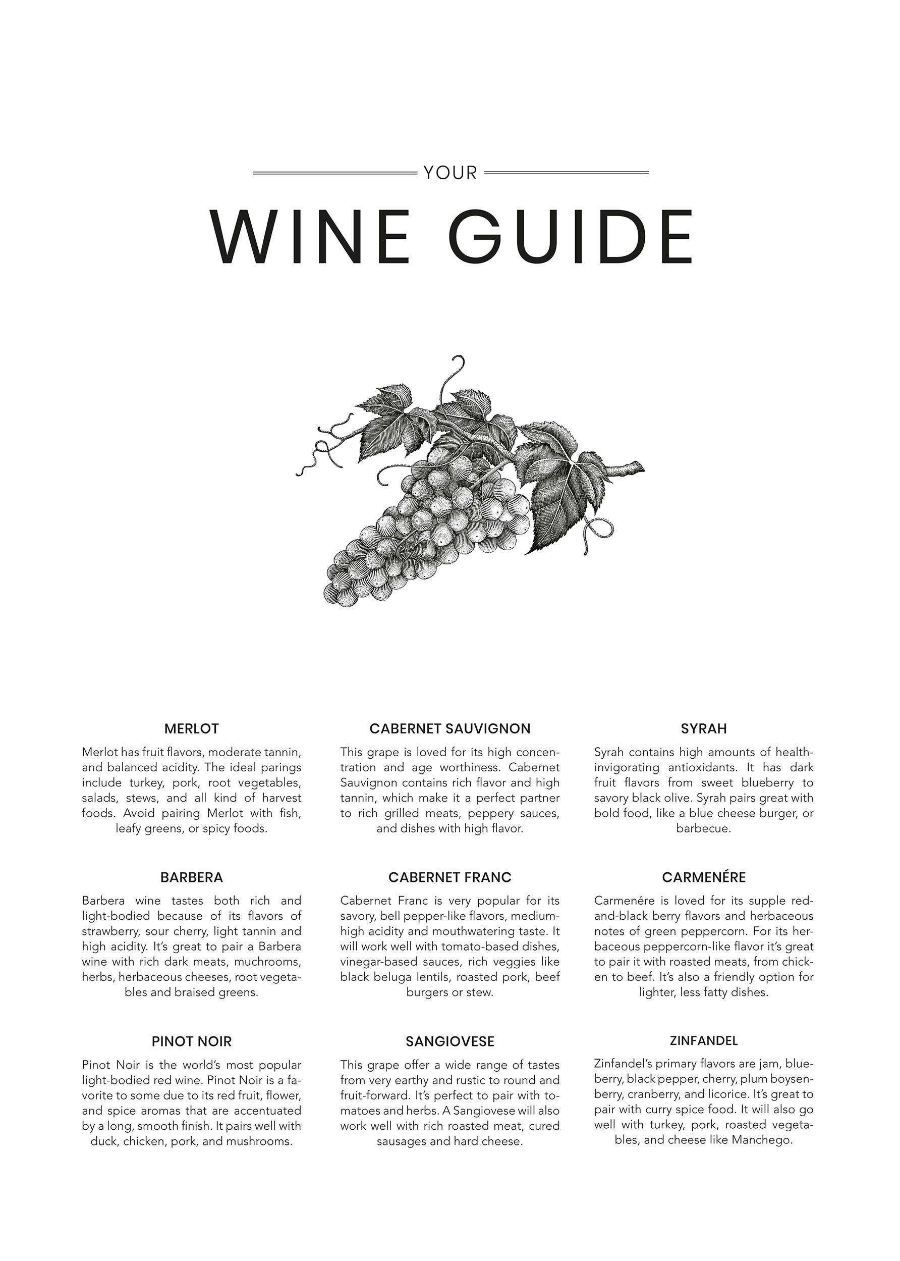 Wine Guide Poster - Grape illustration (40x50 cm)