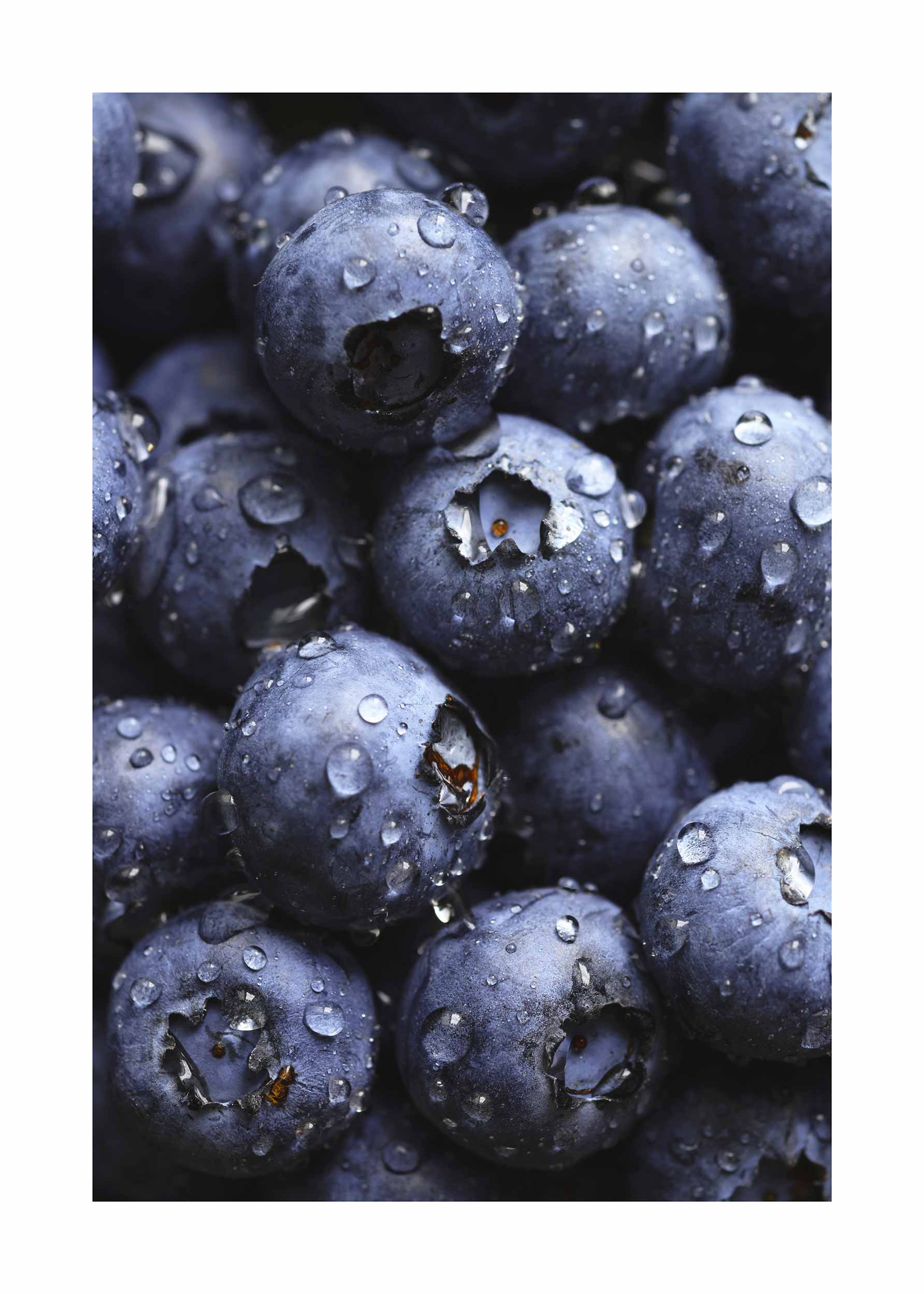 Blueberry plakat - Madfotografi (30x40 cm)