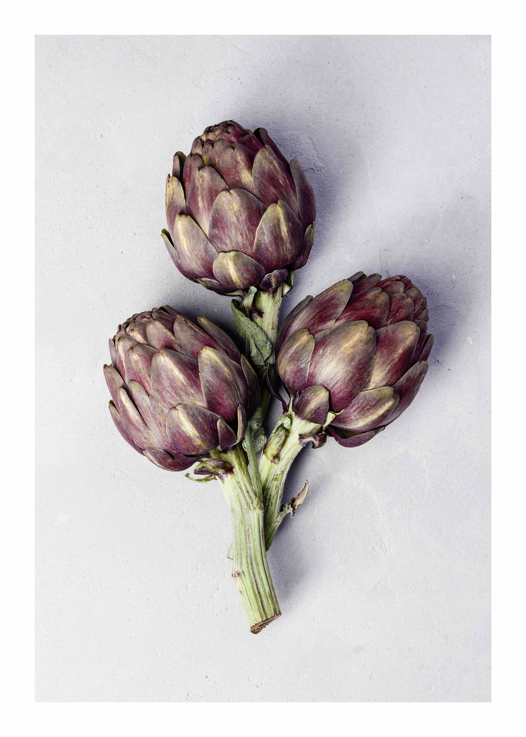 Artichokes No.3 Poster - Botanical illustration (50x70 cm)