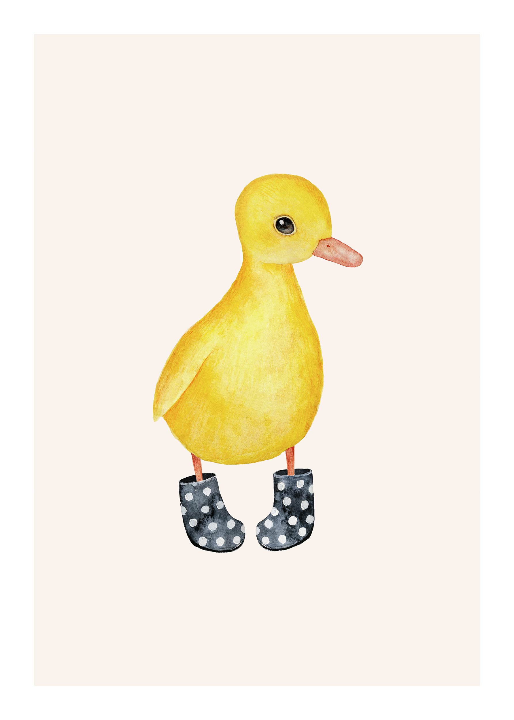 Little Duckling Poster - Animal illustration (50x70 cm)