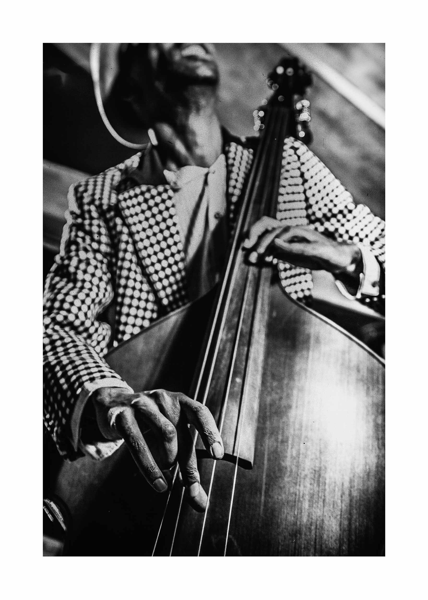 Bass Player Poster - Black and white music photography (30x40 cm)