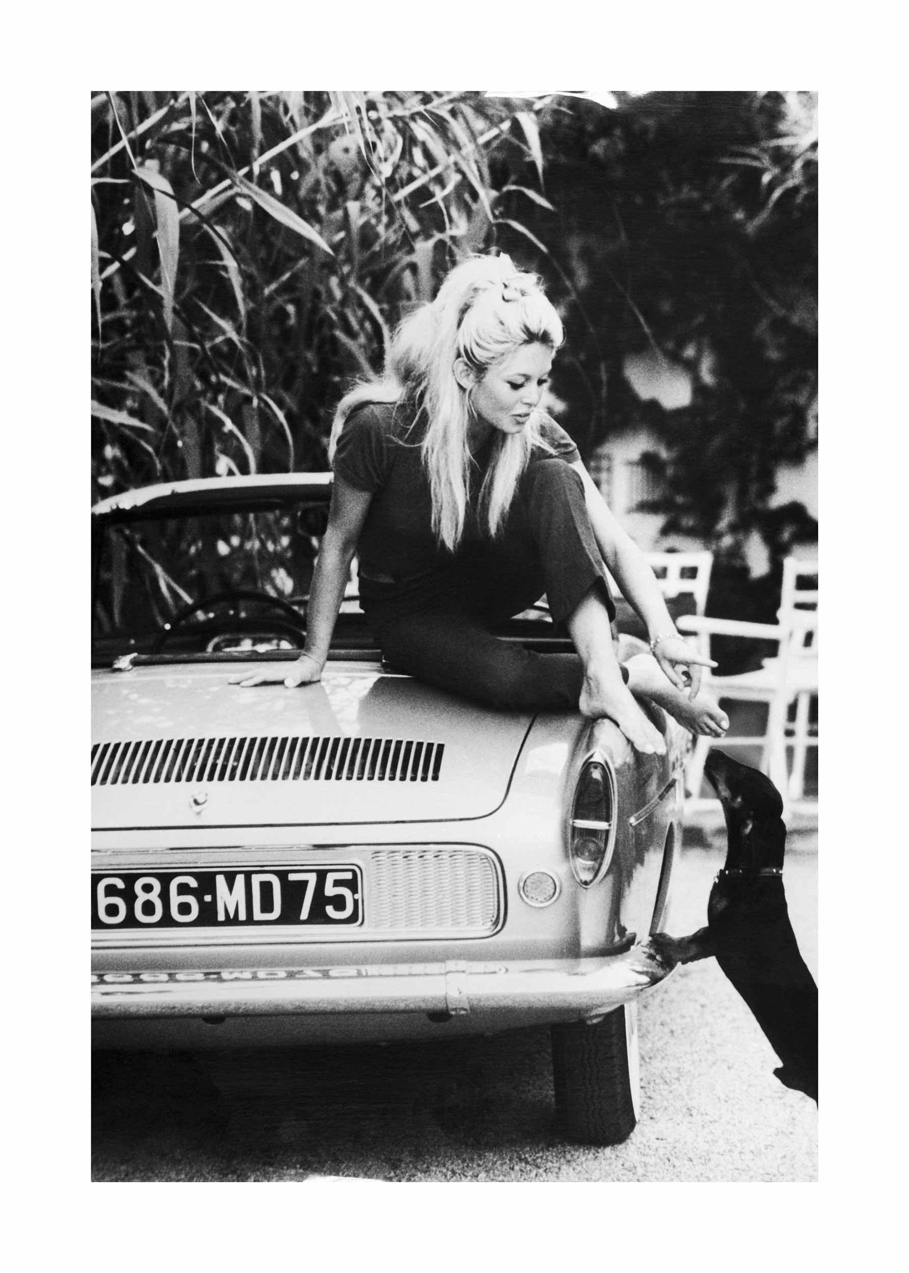 Brigitte Bardot Poster - Black and white fashion photo (40x50 cm)