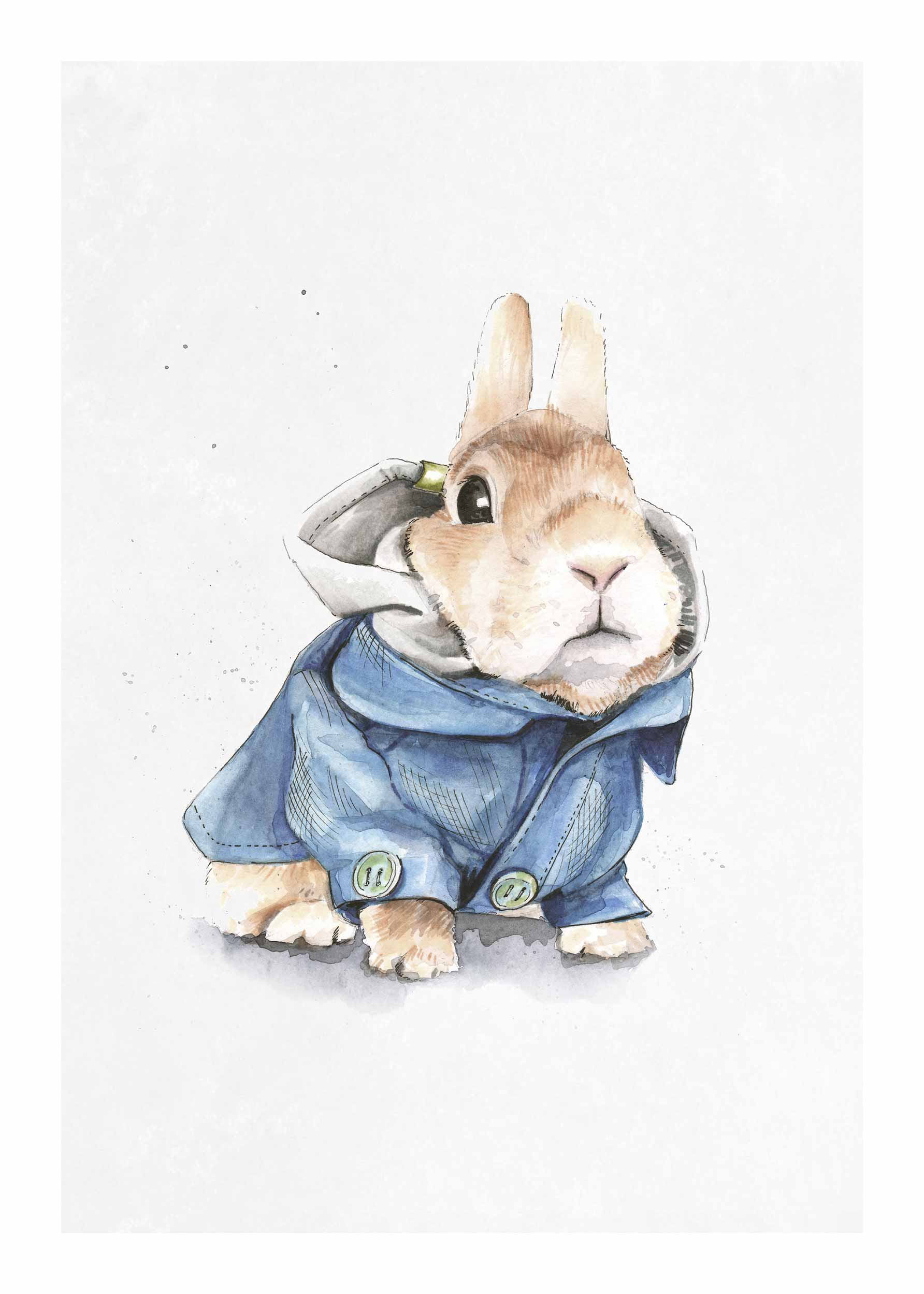 Peter Rabbit Poster - Animal illustration (40x50 cm)