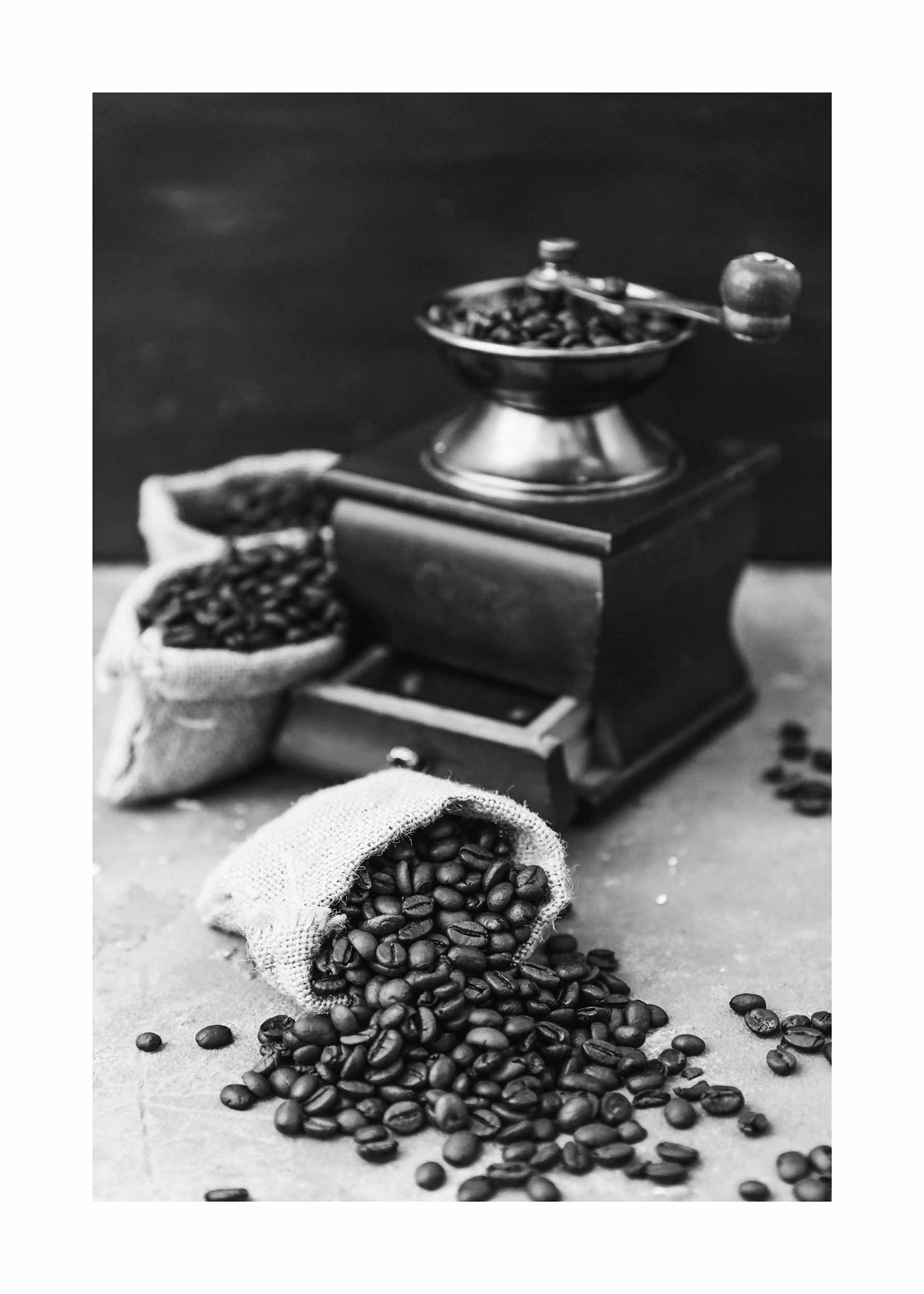 Coffee Grinder Poster - Kaffeefotografie in Schwarzweiß (40x50 cm)