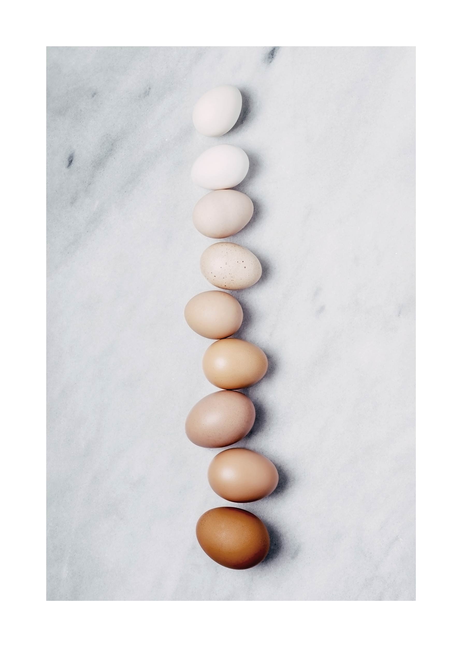 Fresh Eggs poster - Food photography (50x70 cm)