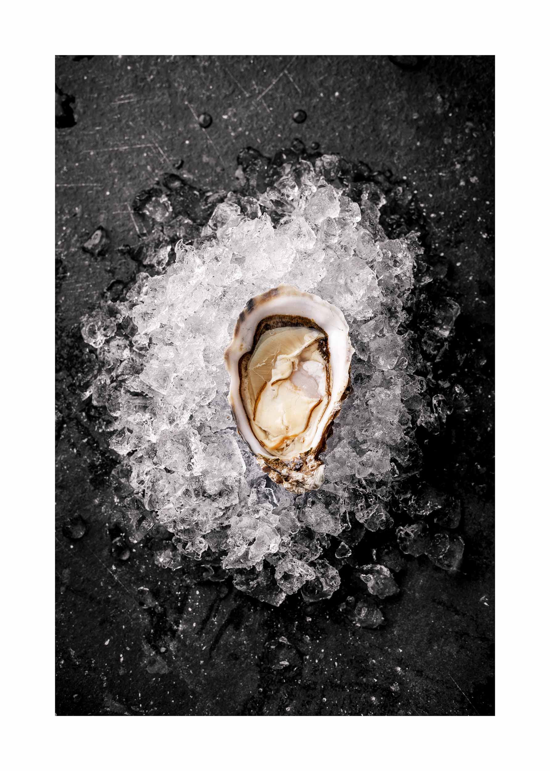 Oysters on Ice poster - Food photography (30x40 cm)