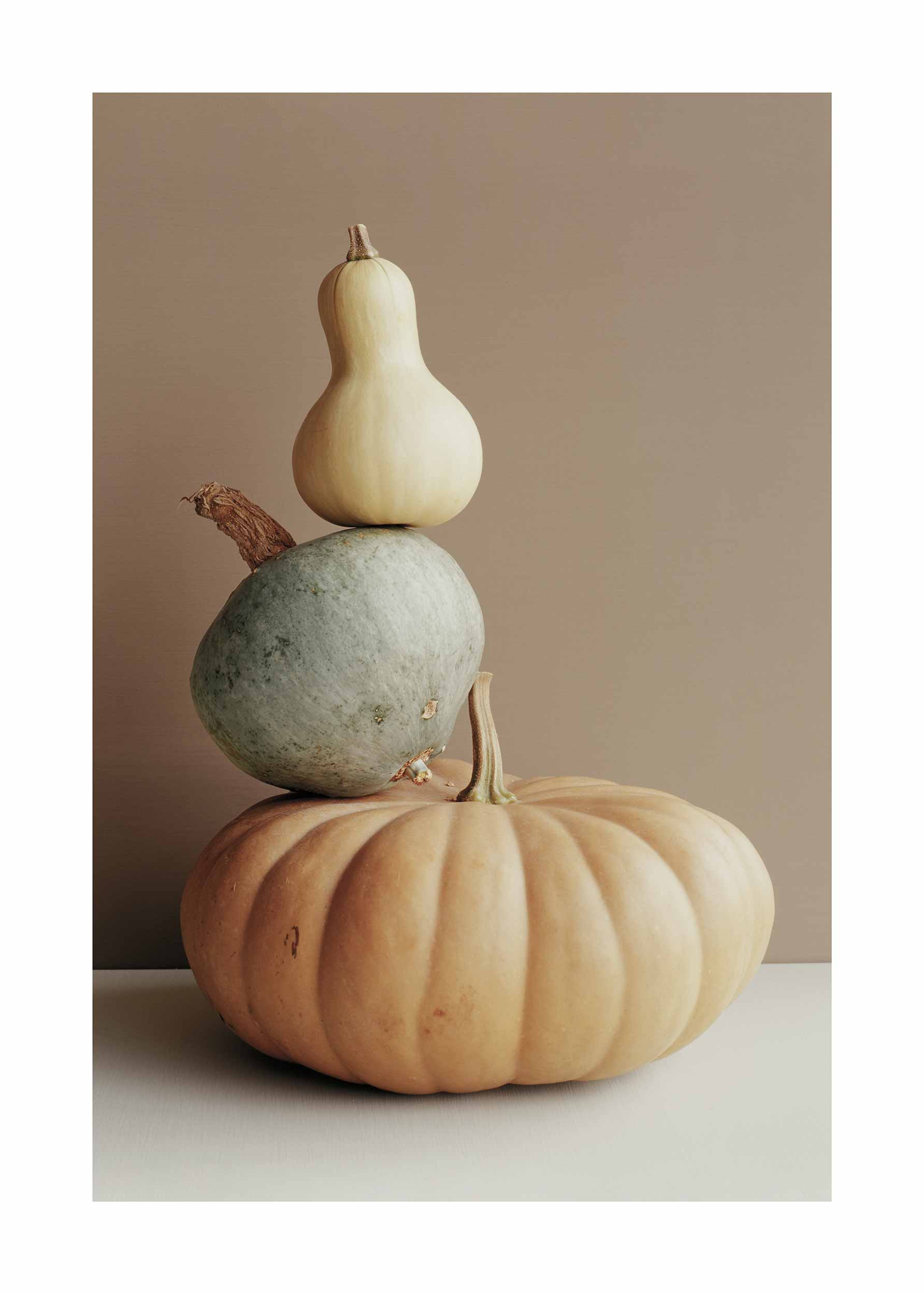 Pumpkin Tower Poster - Still life photography (30x40 cm)