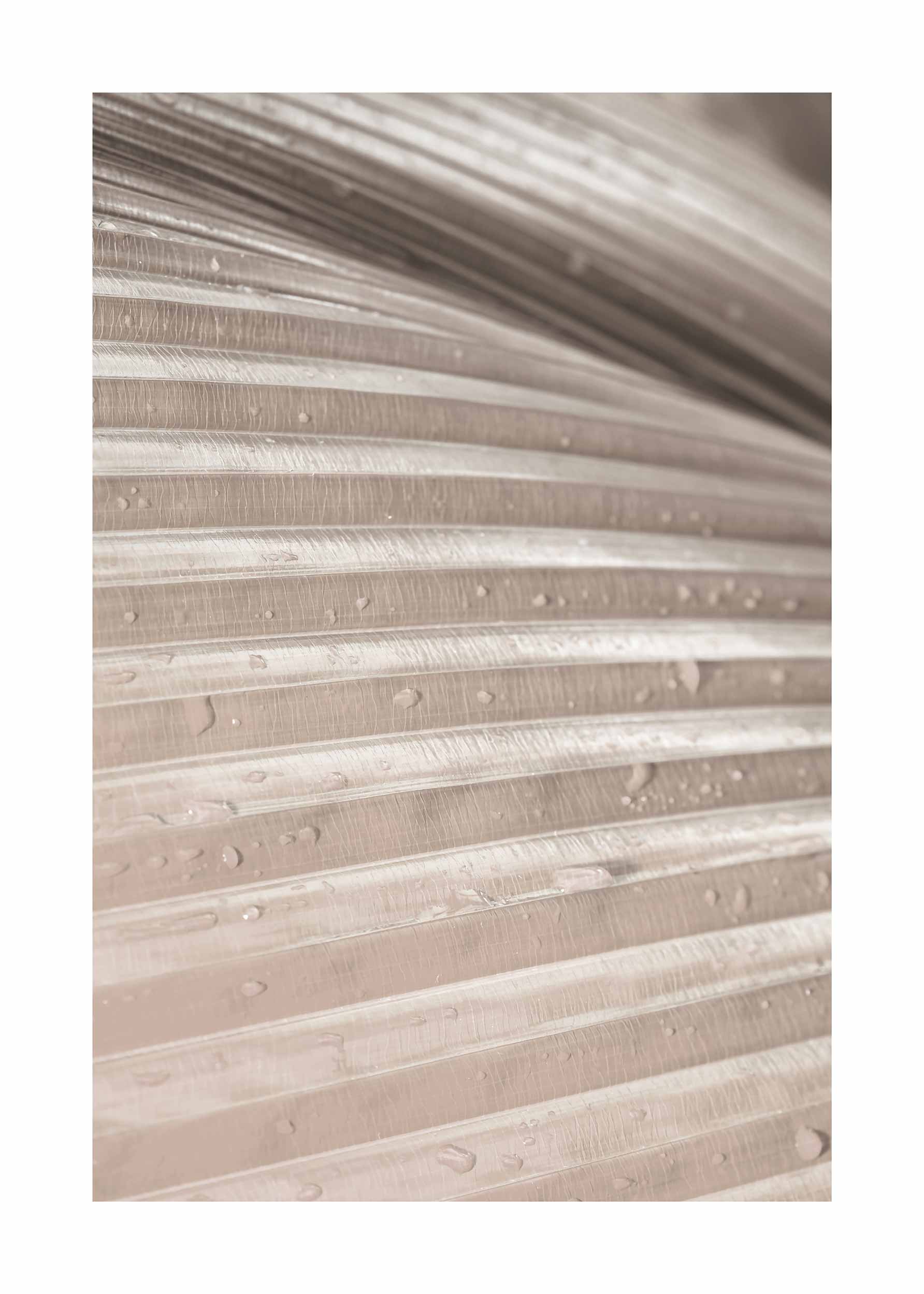 Beige Palm Leaf No.3 Poster - Naturfotografie (40x50 cm)