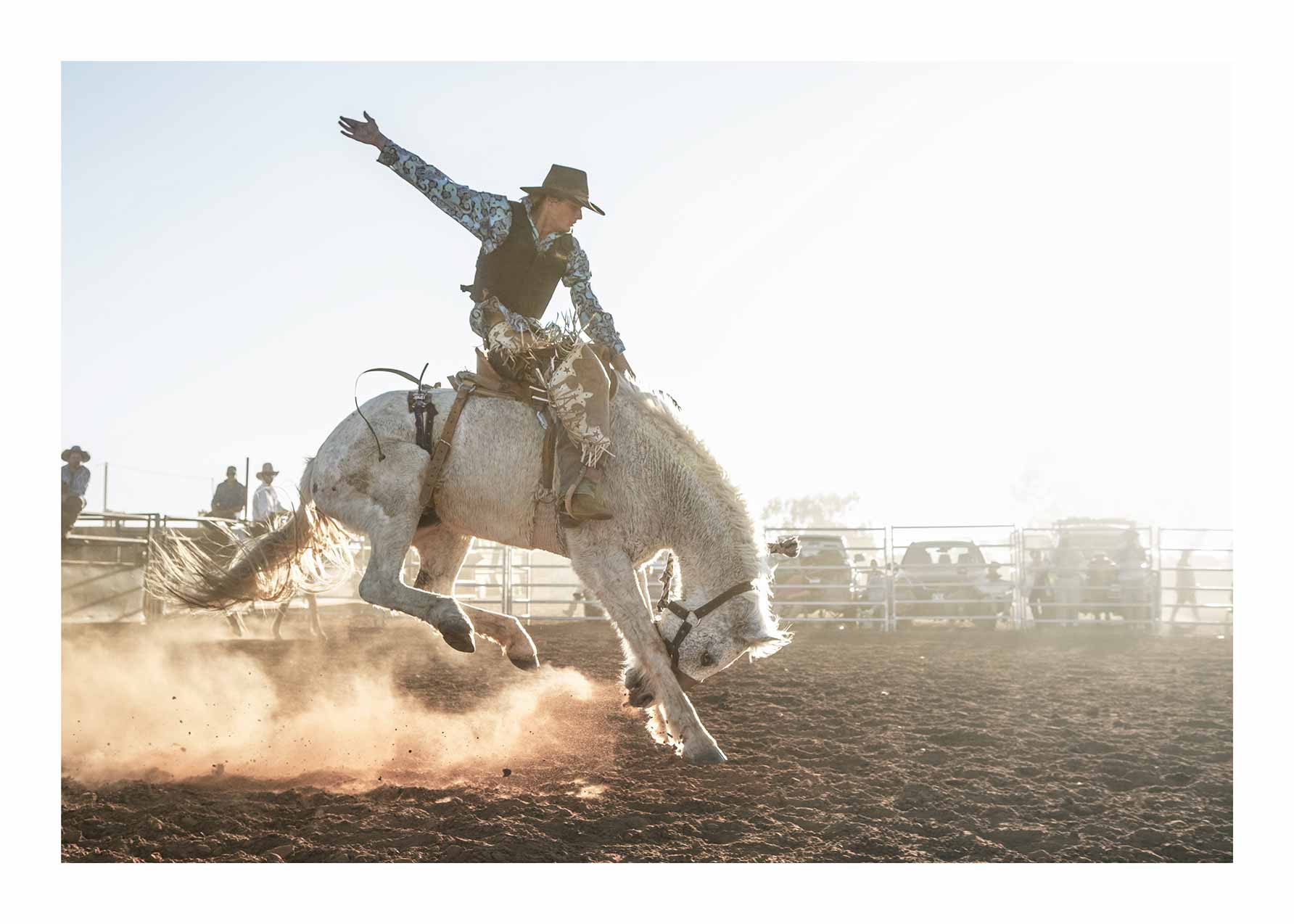 Rodeo Poster - Horse photography (30x40 cm)