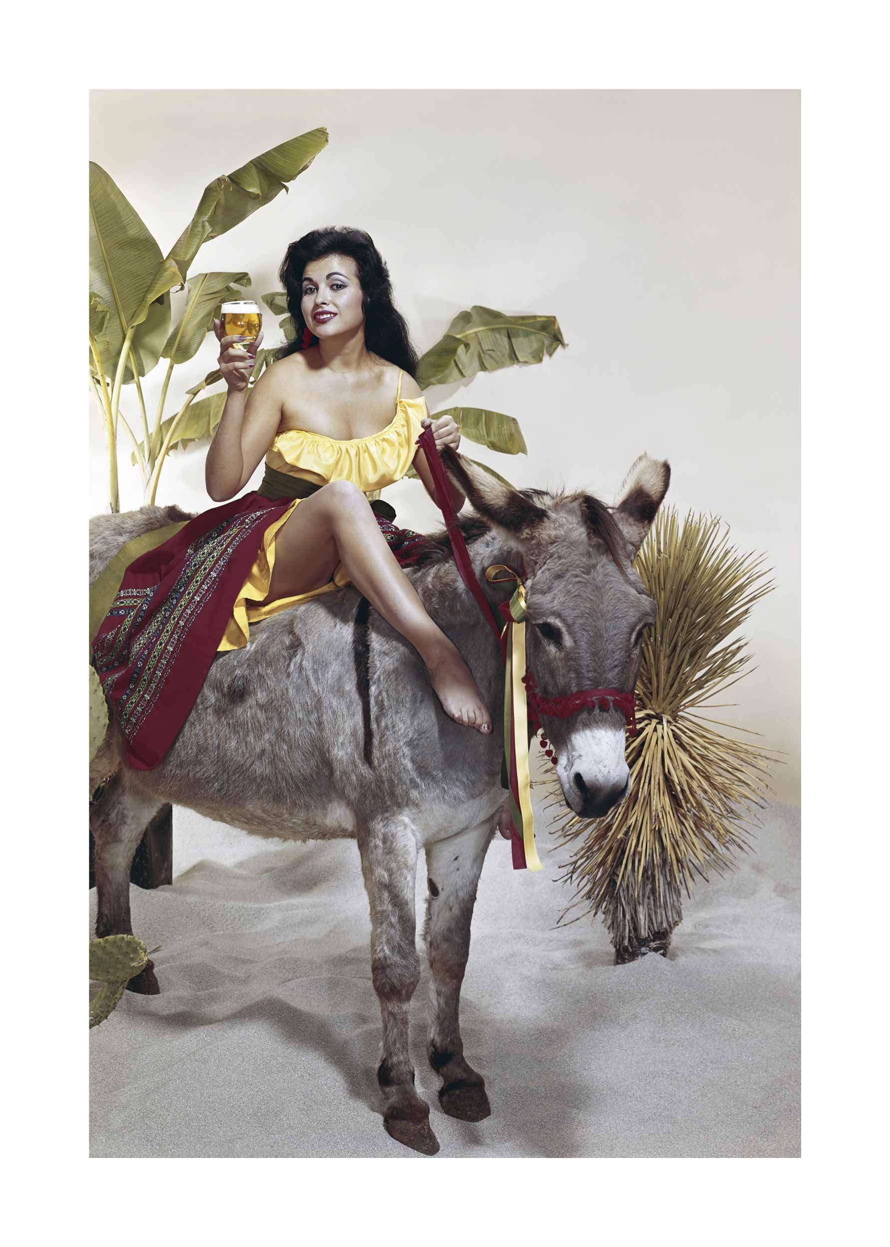 Drinks on a Donkey plakat - Modefotografi (50x70 cm)