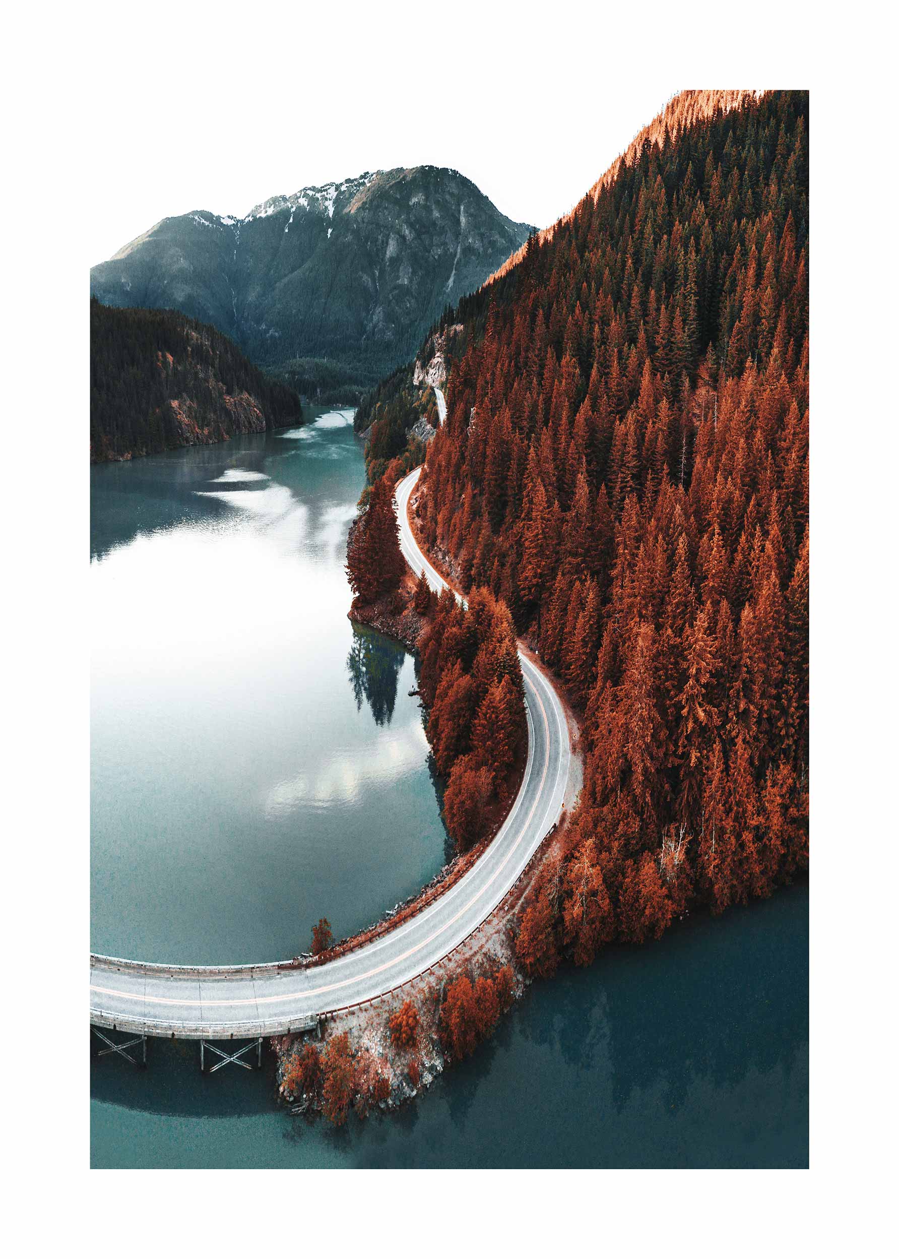 Red Woods Lake Poster - Landscape photography (50x70 cm)