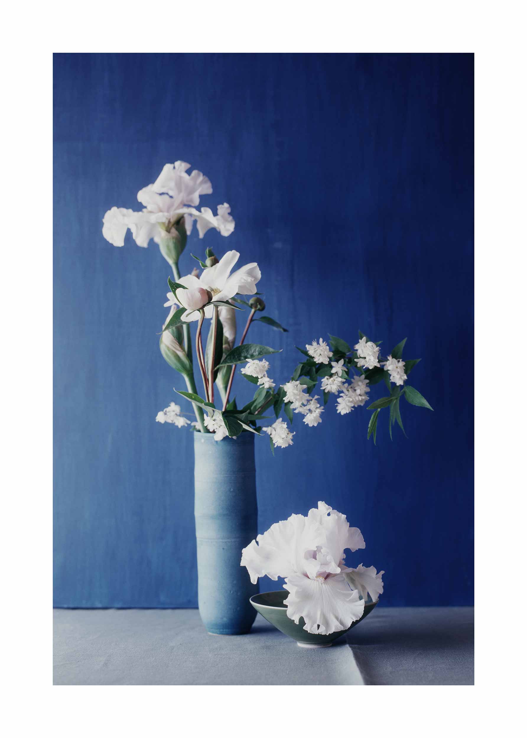 Blue Vase Still Life plakat - Blomsterfotografi (21x30 cm)