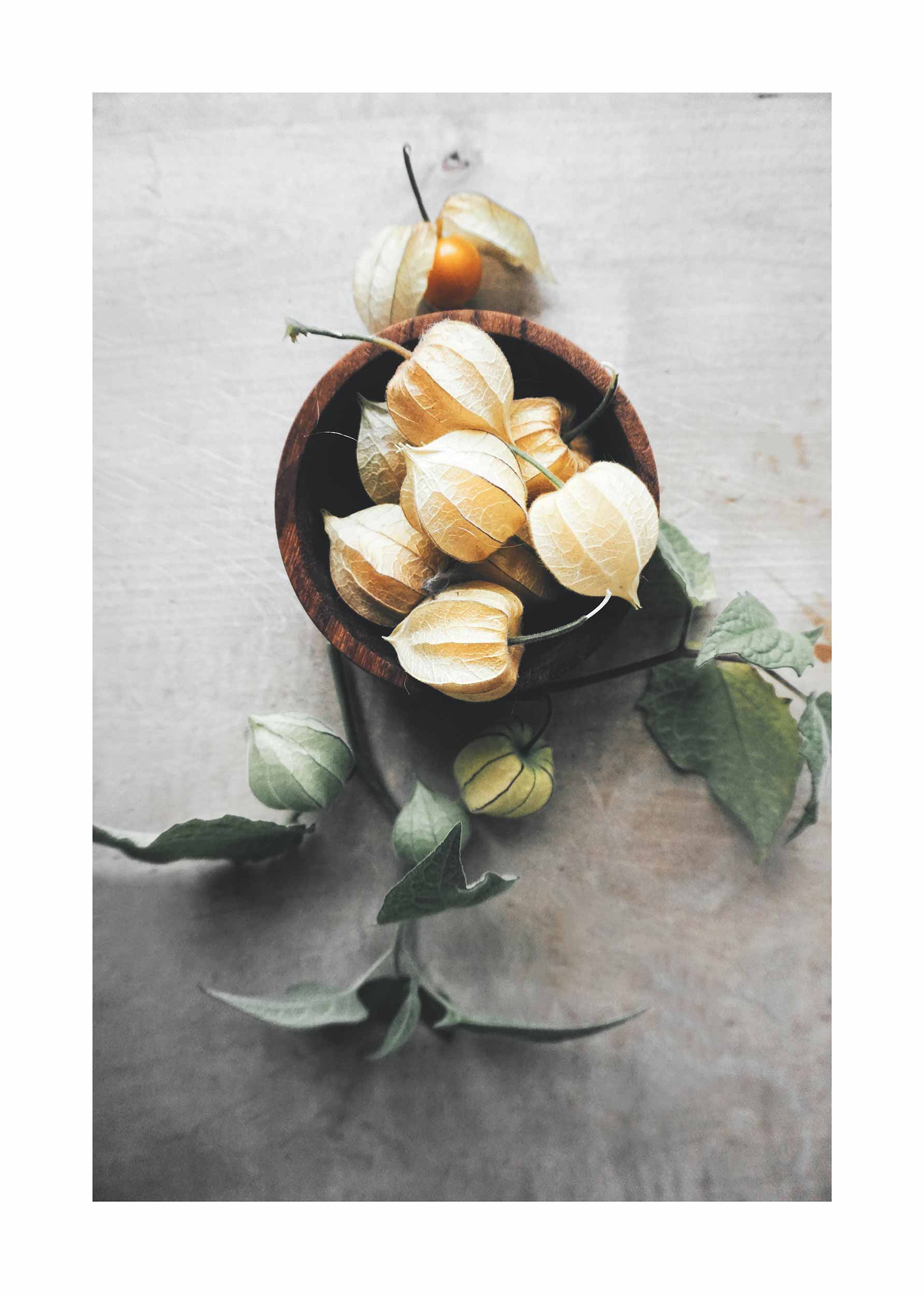 Winter Cherries Poster - Botanical photography (30x40 cm)