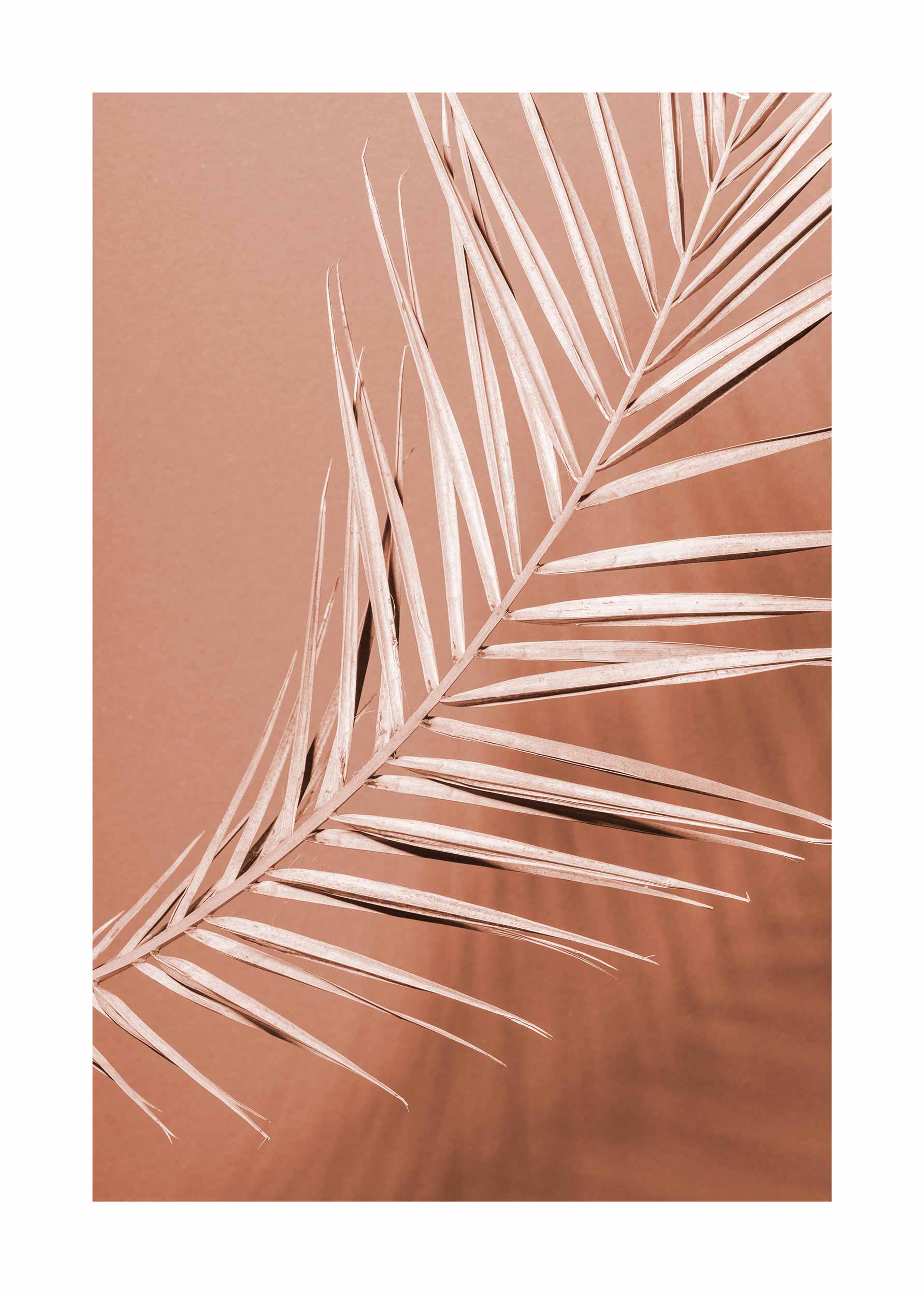 Pink Shadow Poster - Palmblatt Grafik (30x40 cm)