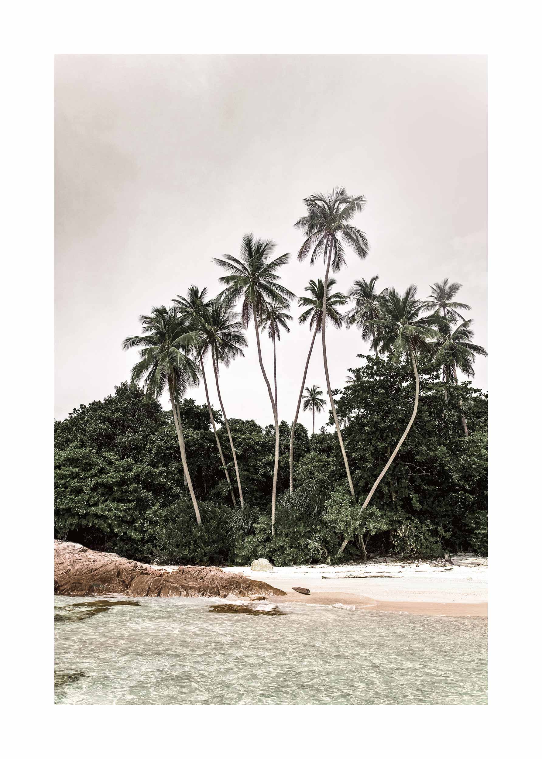 Paradise Beach Poster - Tropical beach illustration (50x70 cm)