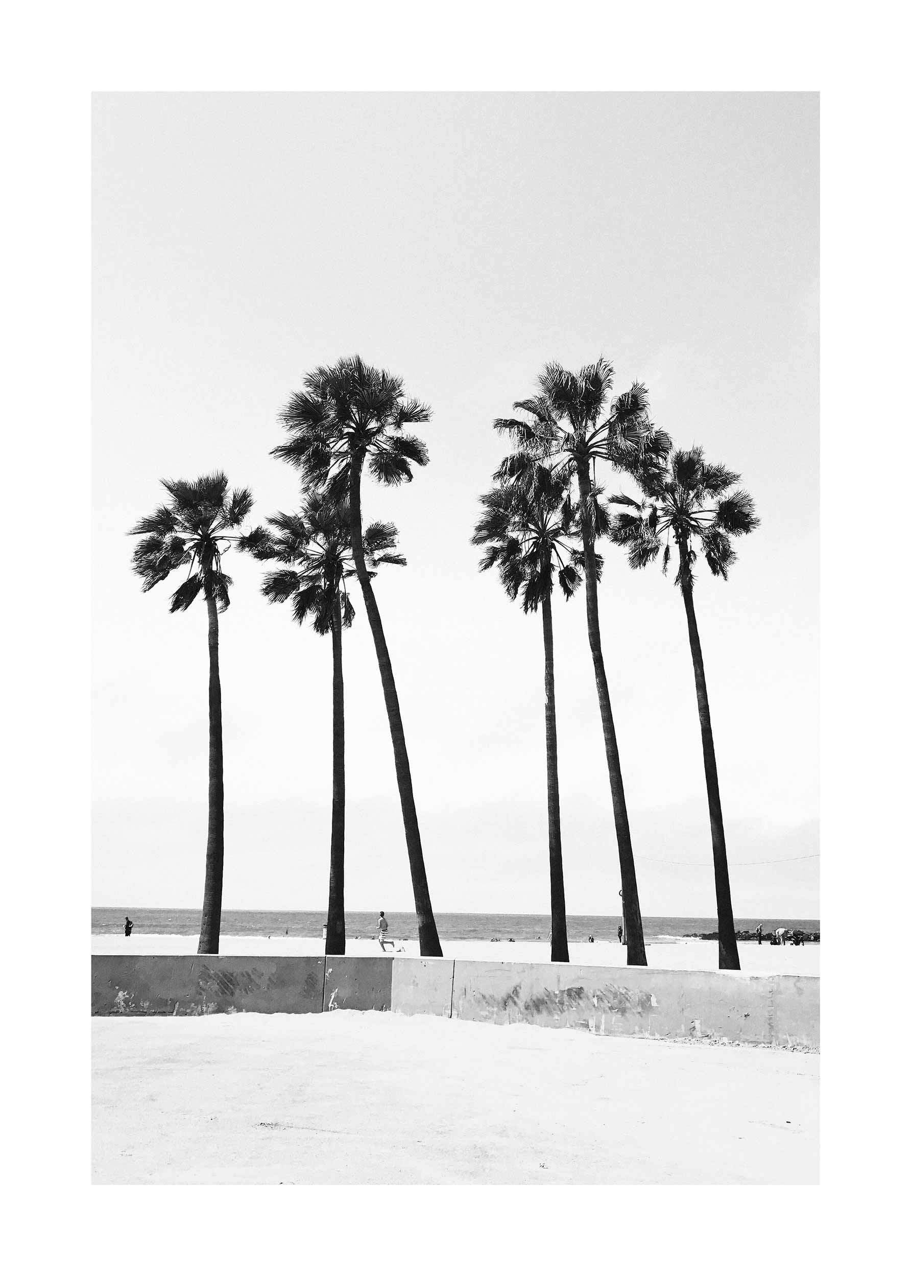 Palm Trees Poster - Black and white beach photography (30x40 cm)