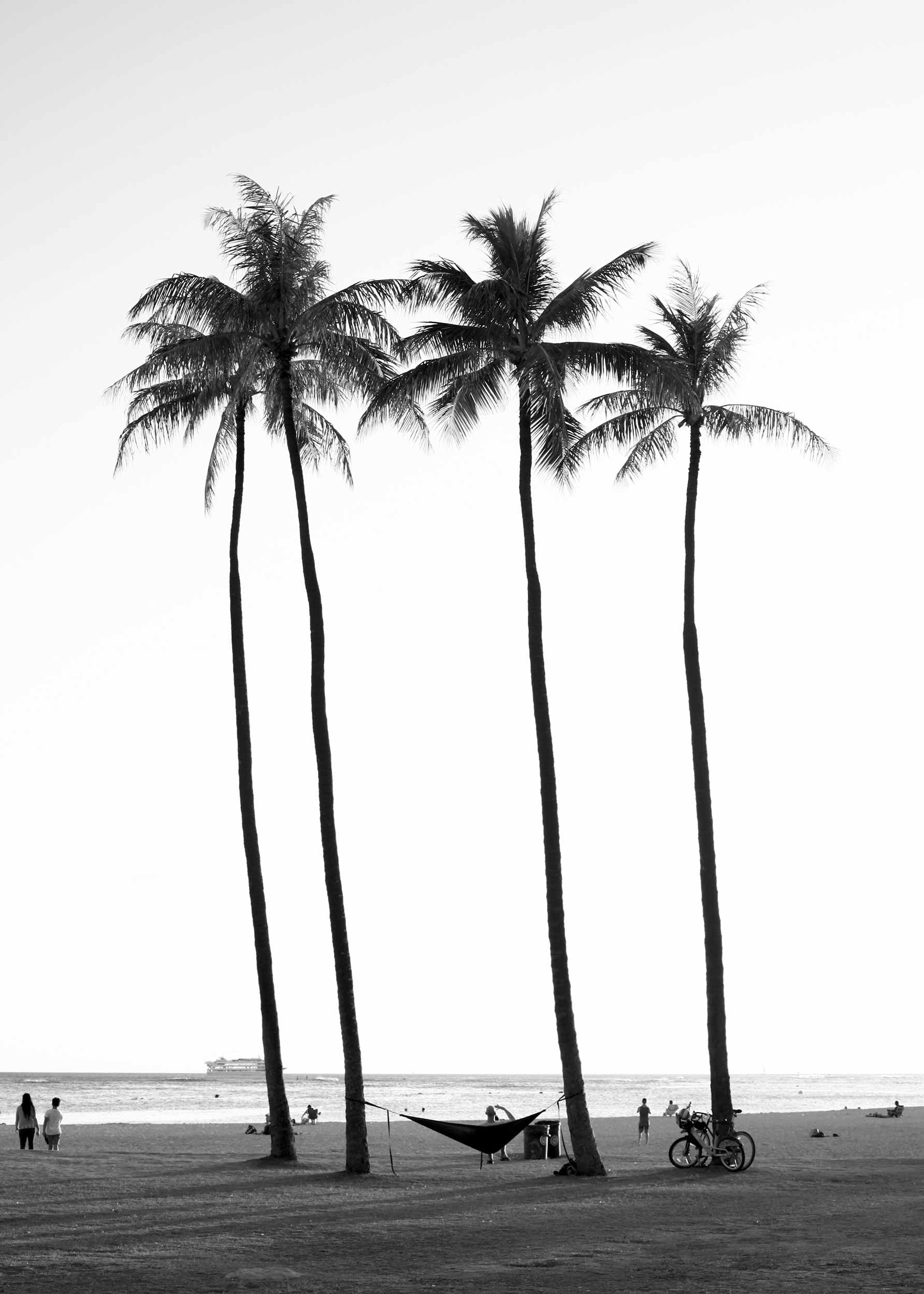 Beach Palm Trees poster - Black and white coastal photography (30x40 cm)