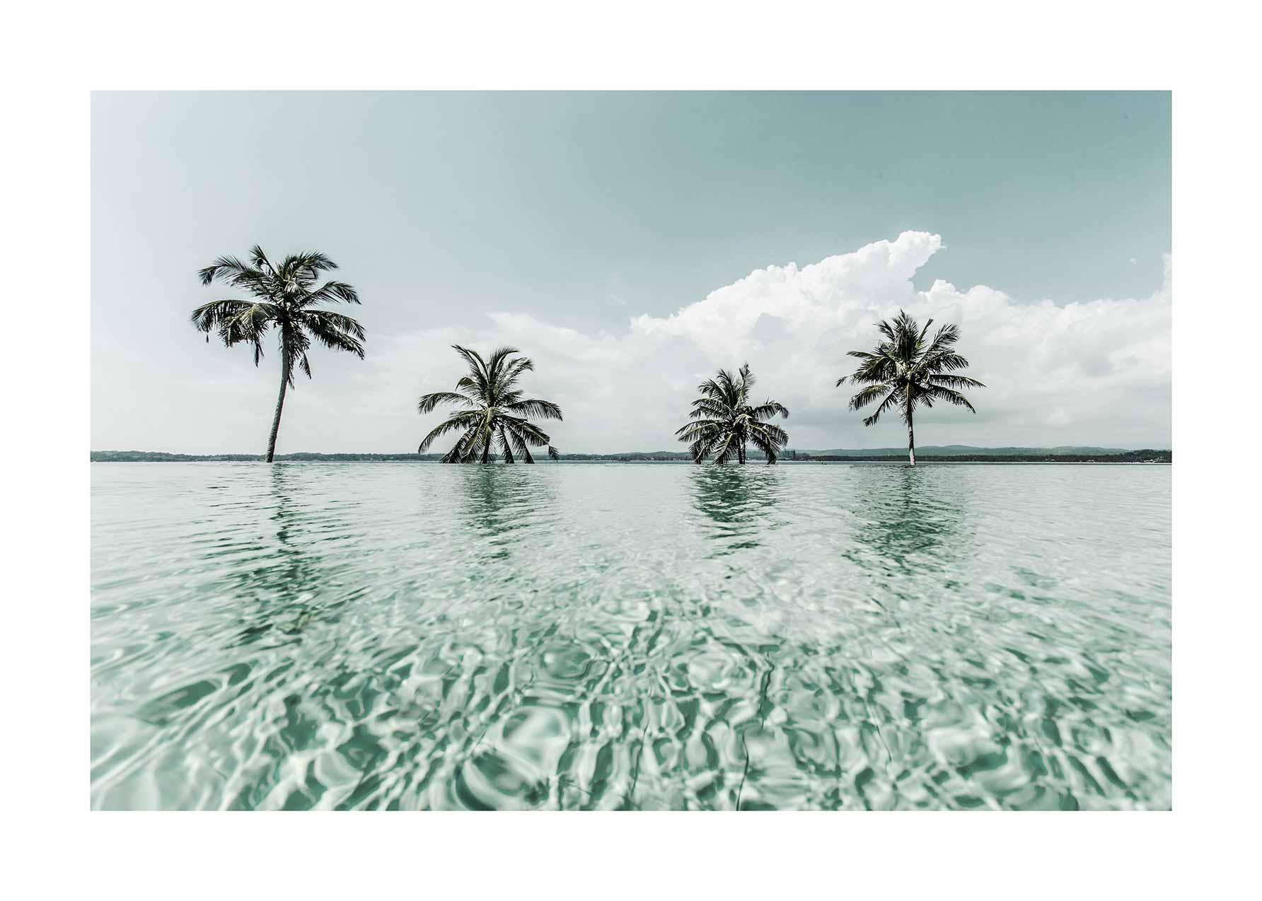 Infinity Pool Poster - Palmenfotografie (30x40 cm)