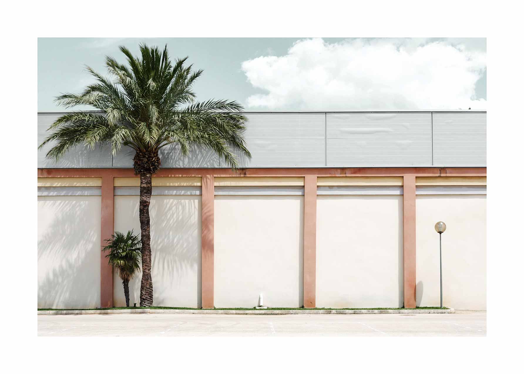 Wall Palm Trees Poster - Architektur Grafik (30x40 cm)