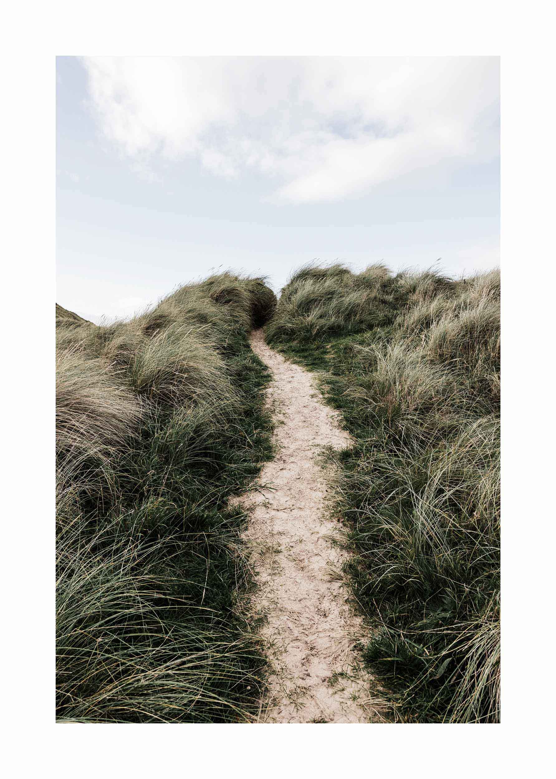 Summer Trail Poster - Coastal landscape photography (30x40 cm)