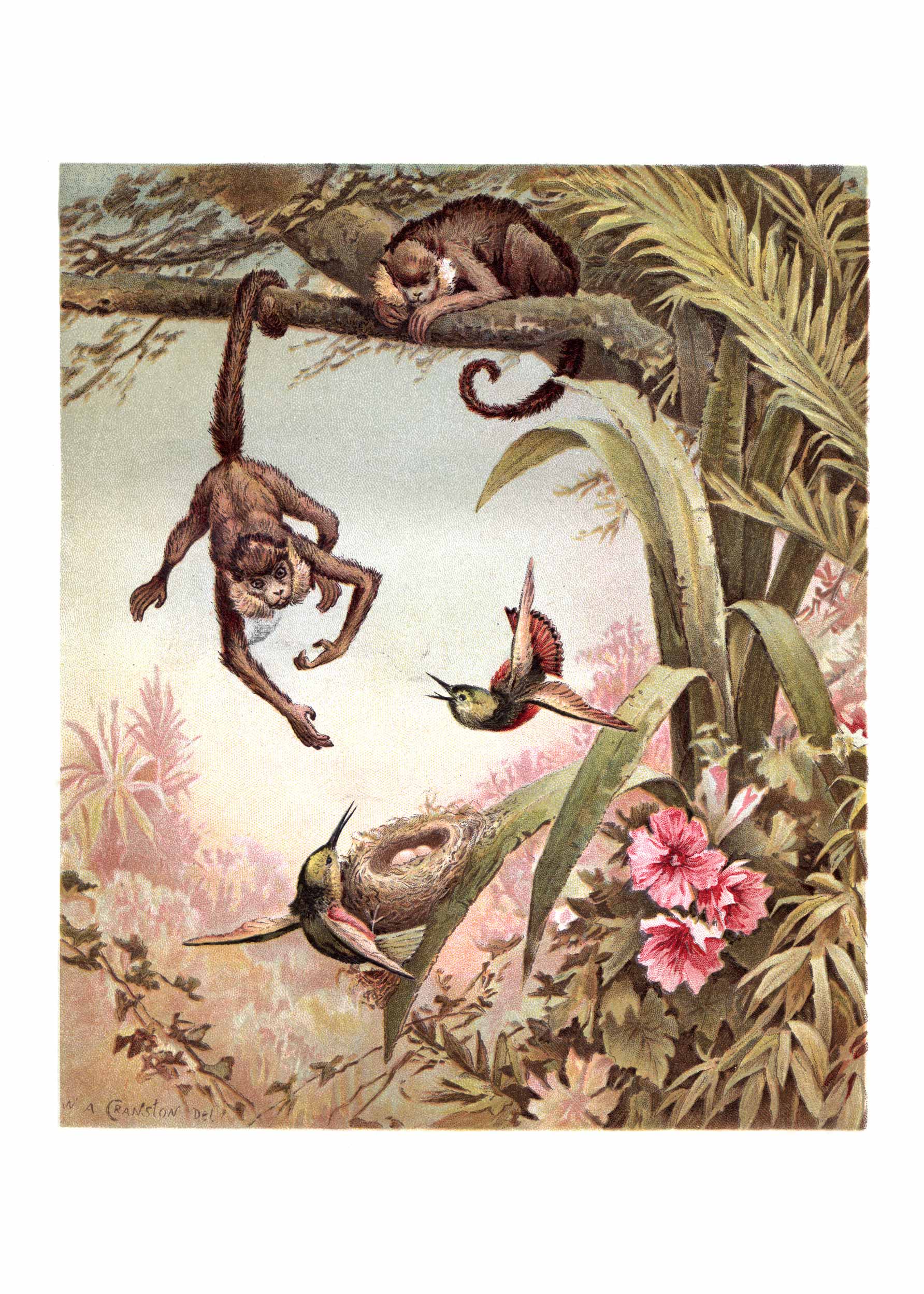 Monkey Business Poster - Tierillustration im Vintage-Stil (50x70 cm)