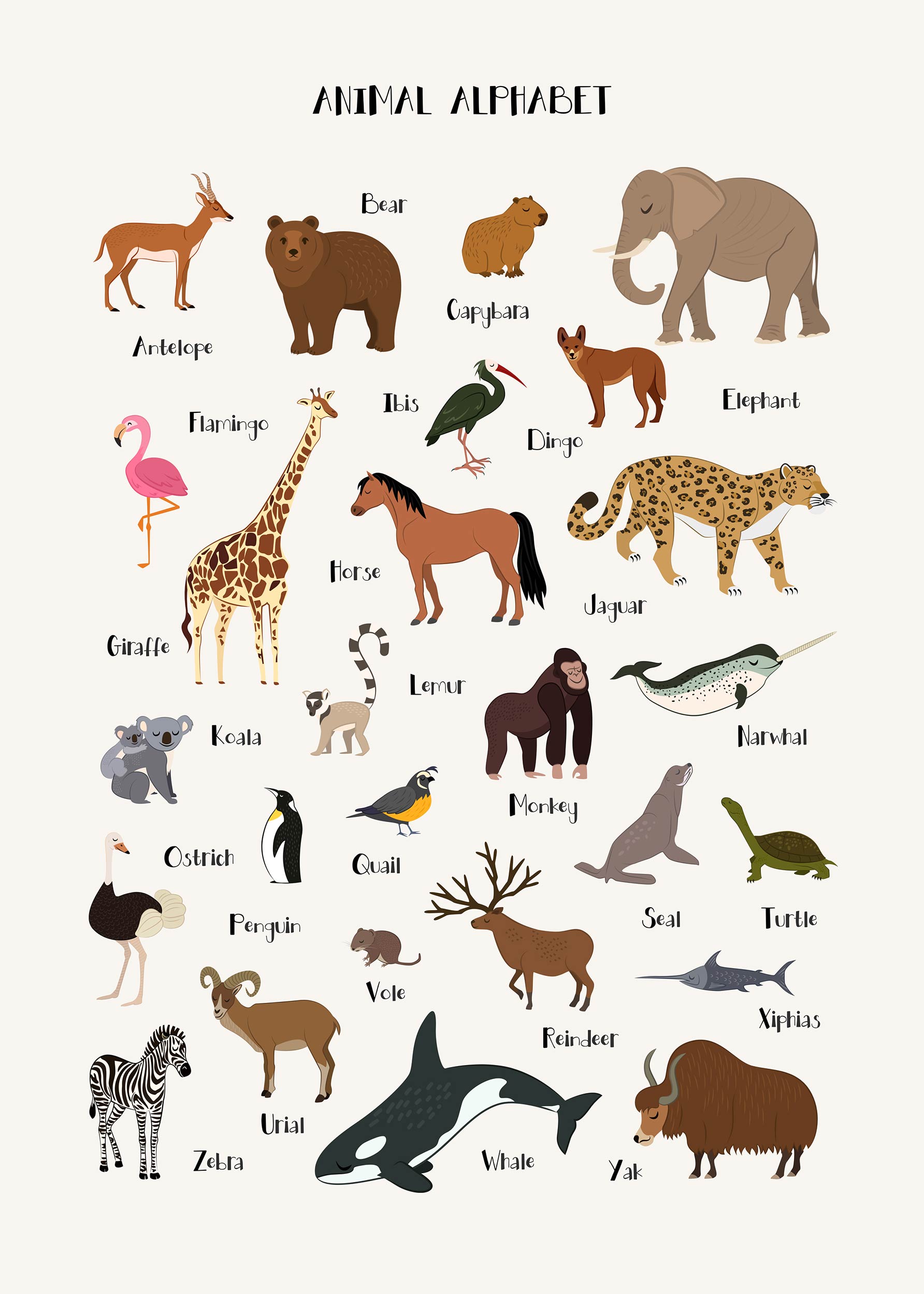 Animal Alphabet Poster - Animal illustration (70x100 cm)