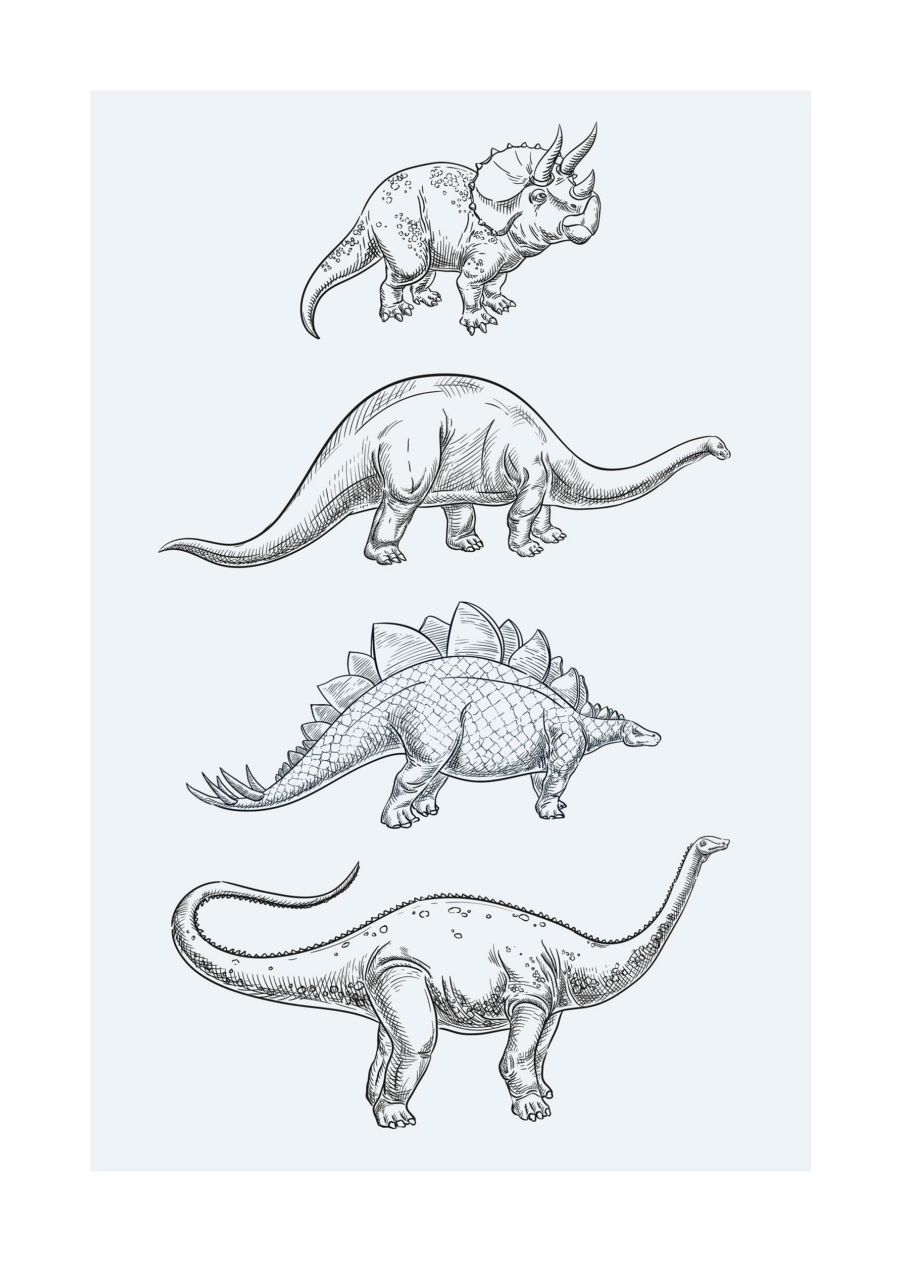 Dinosaurs Poster - Tierillustration (50x70 cm)