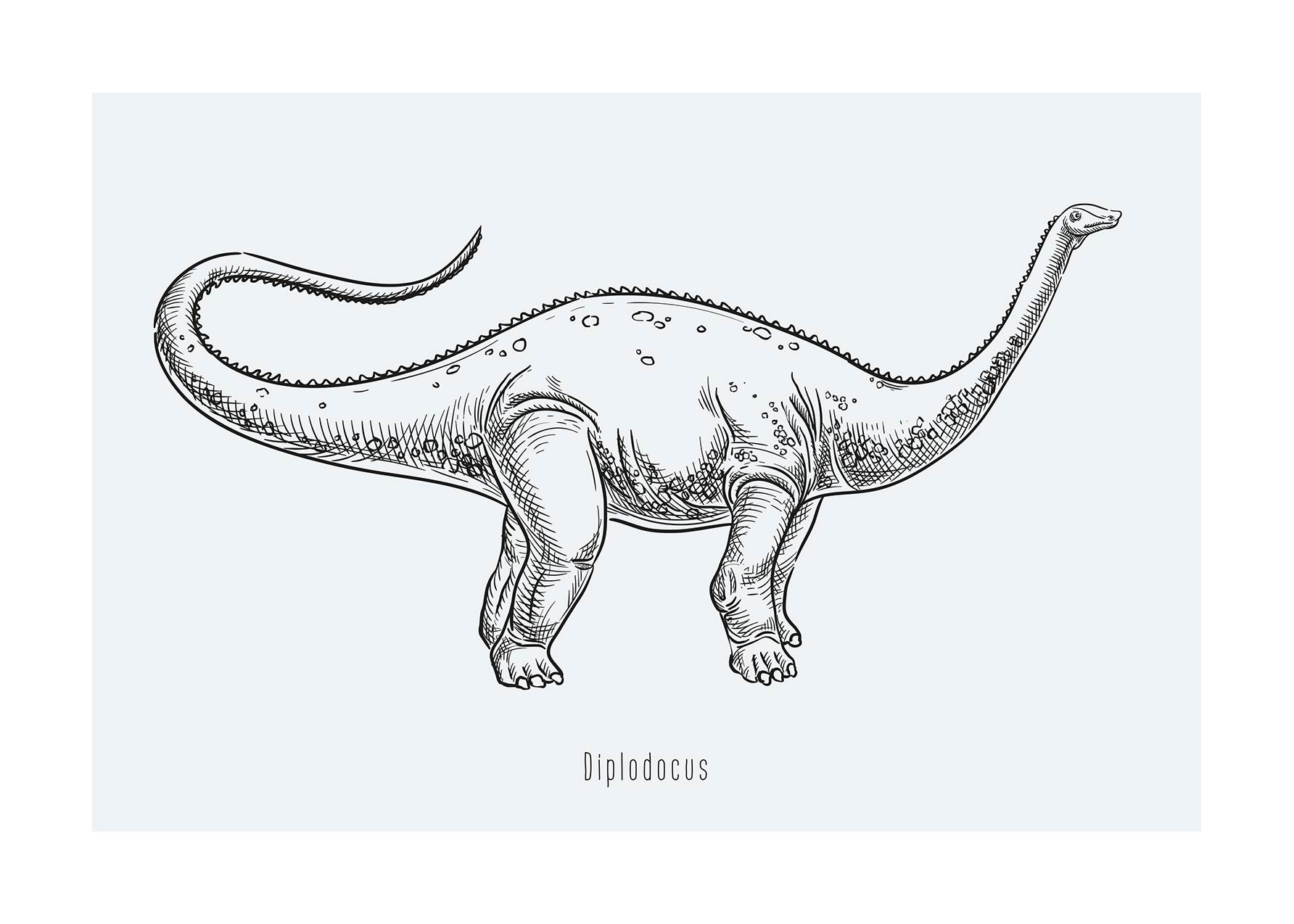 Diplodocus Dinosaur Poster - Tier Illustration (30x40 cm)