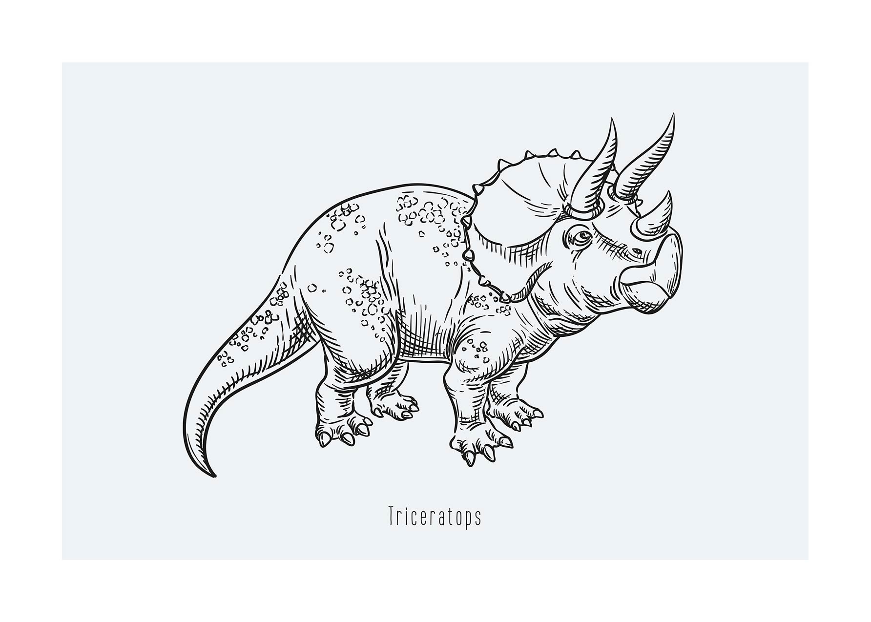 Triceratops Dinosaur Poster - Animal line art (30x40 cm)