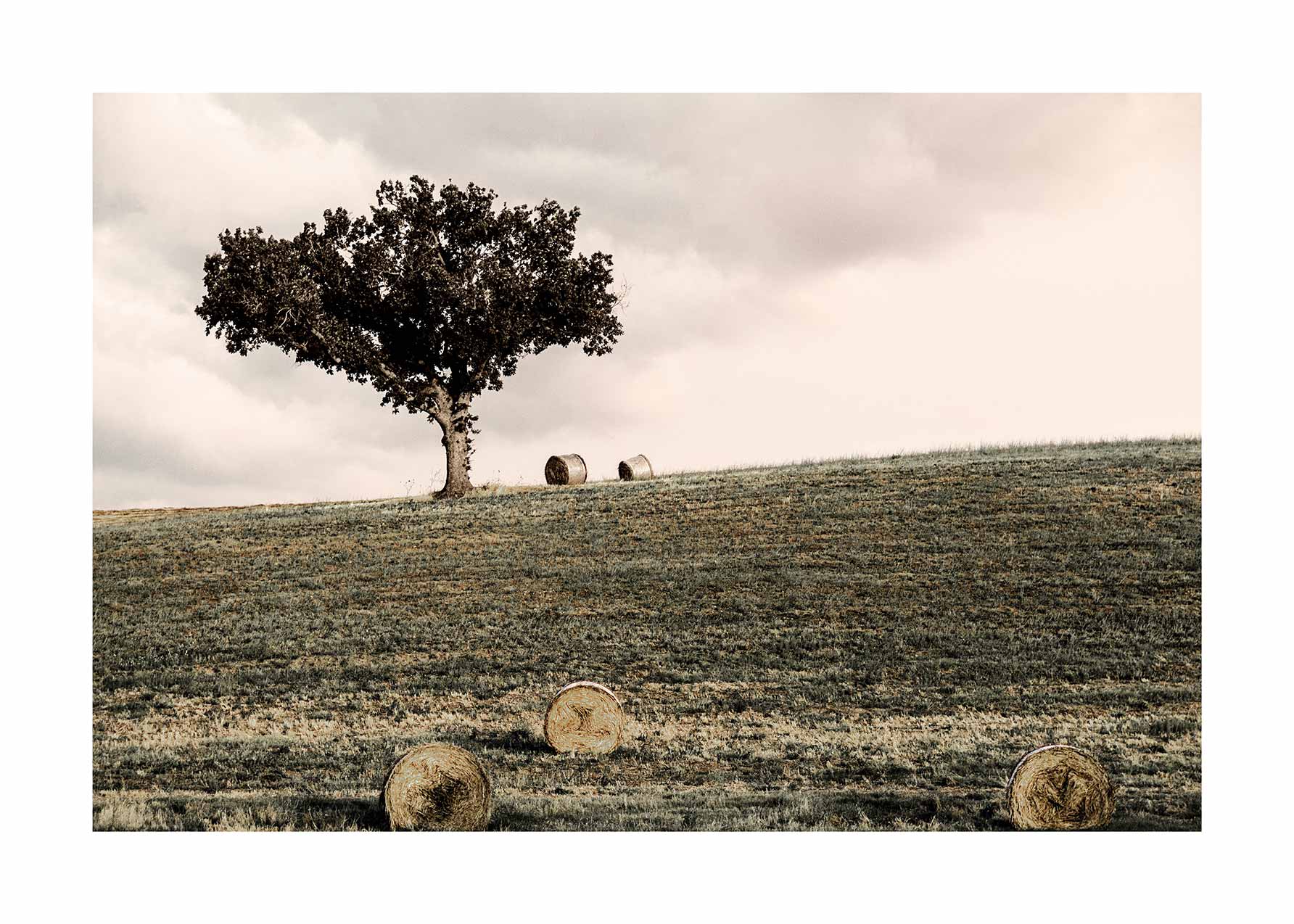 Idyllic Countryside Poster - Landscape illustration (50x70 cm)