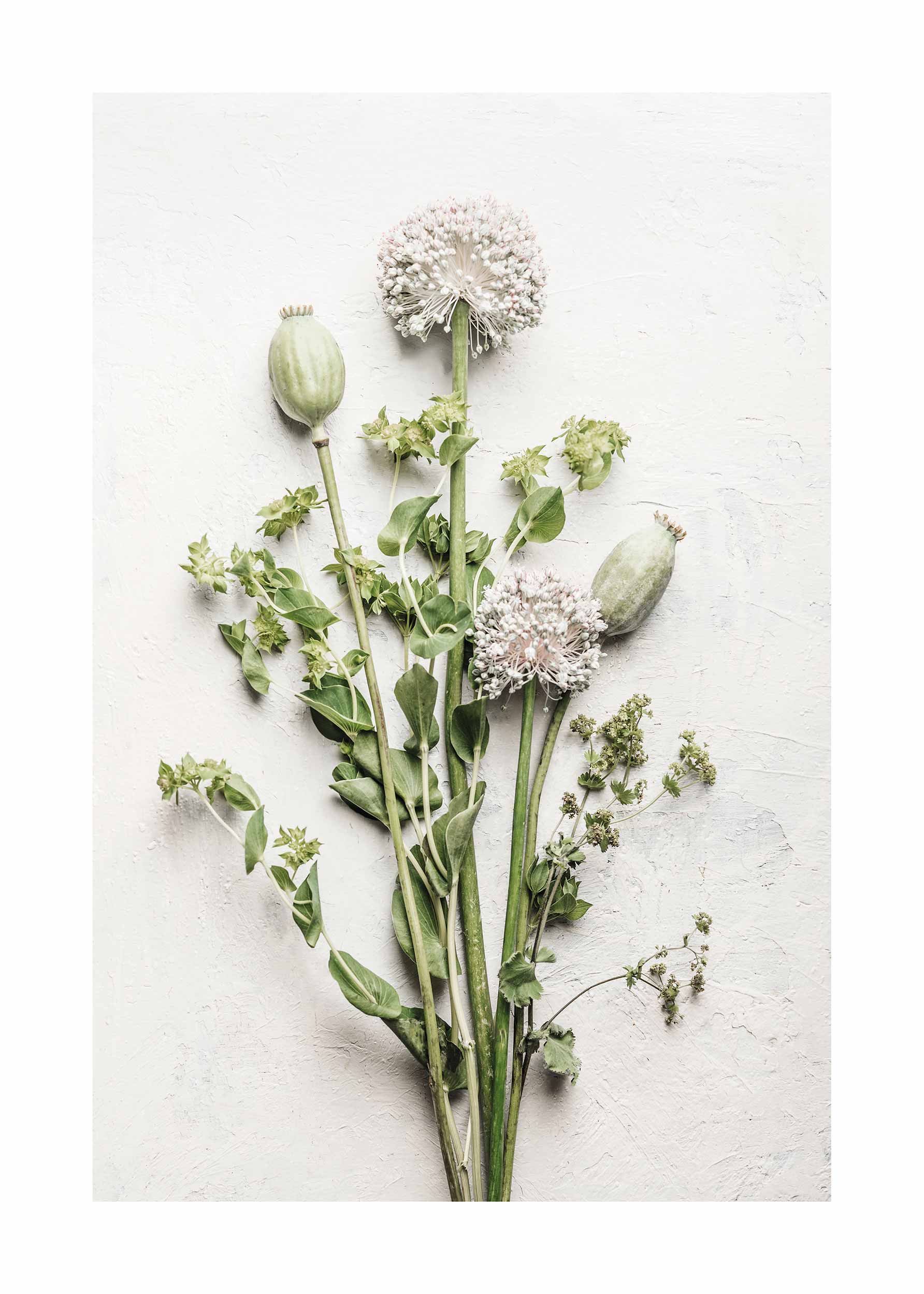 Green Bouquet plakat - Blomsterillustration (40x50 cm)