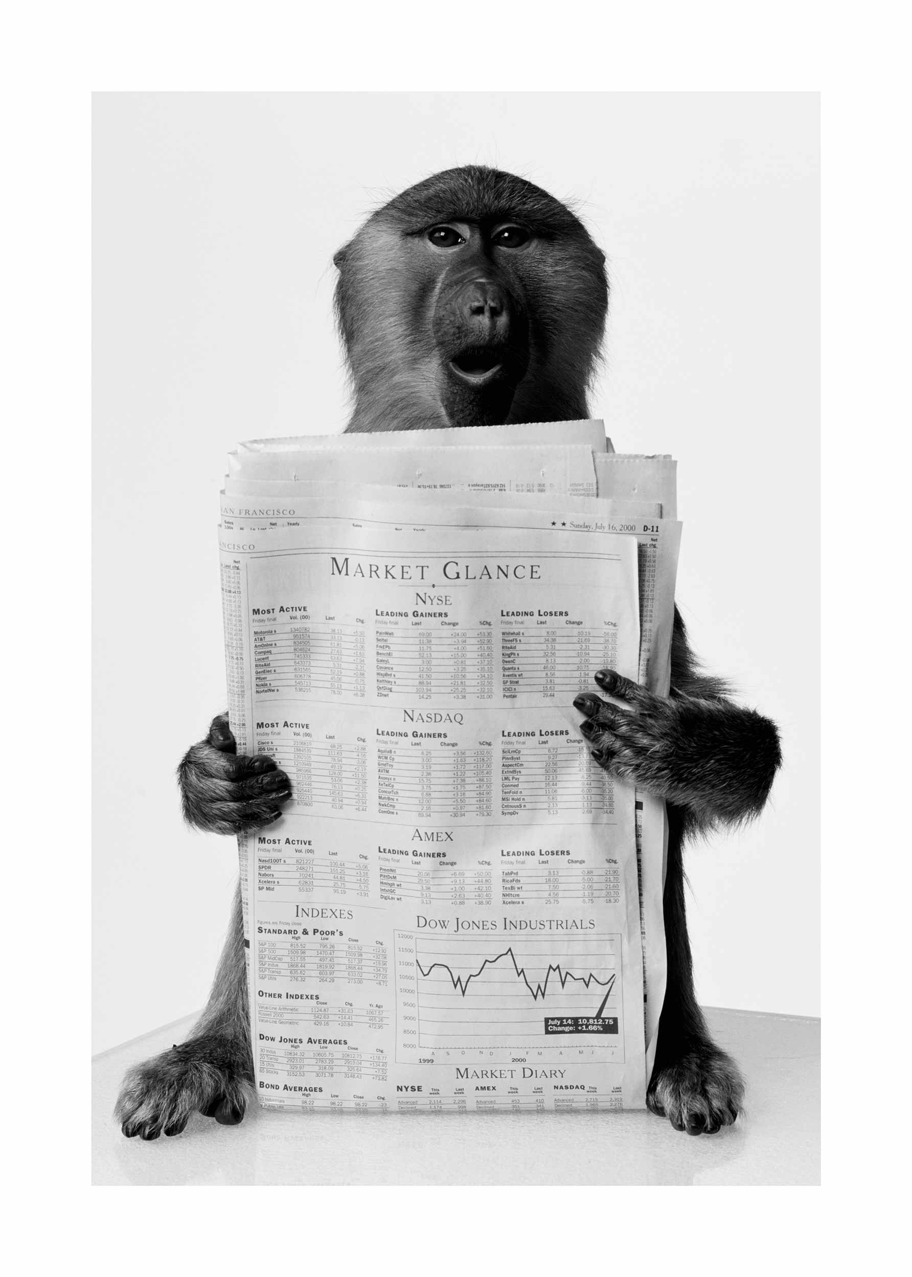 Your Financial Advisor Poster - Schwarzweiße Tierfotografie (30x40 cm)