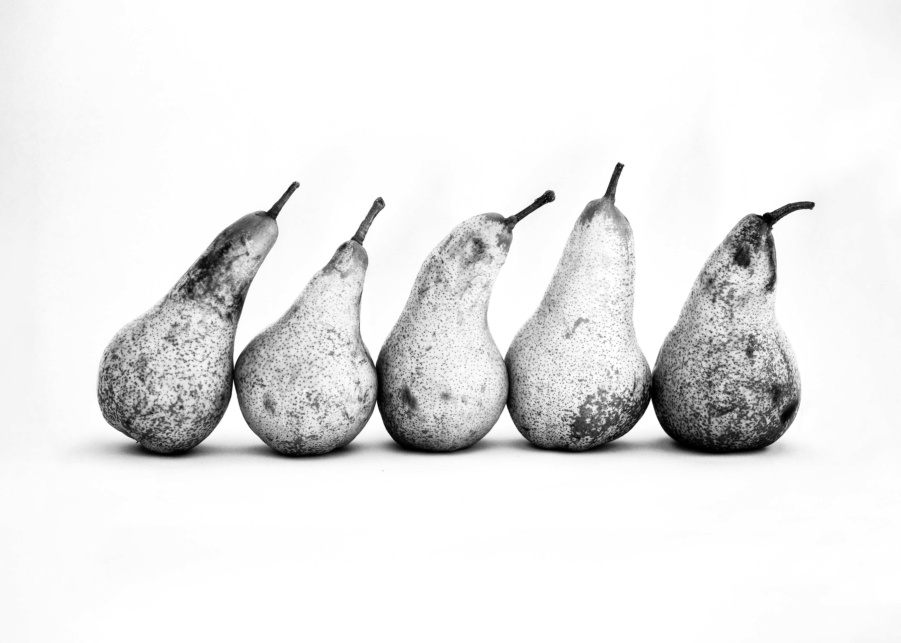 Pears in a Row Poster - Obstfotografie in Schwarzweiß (30x40 cm)