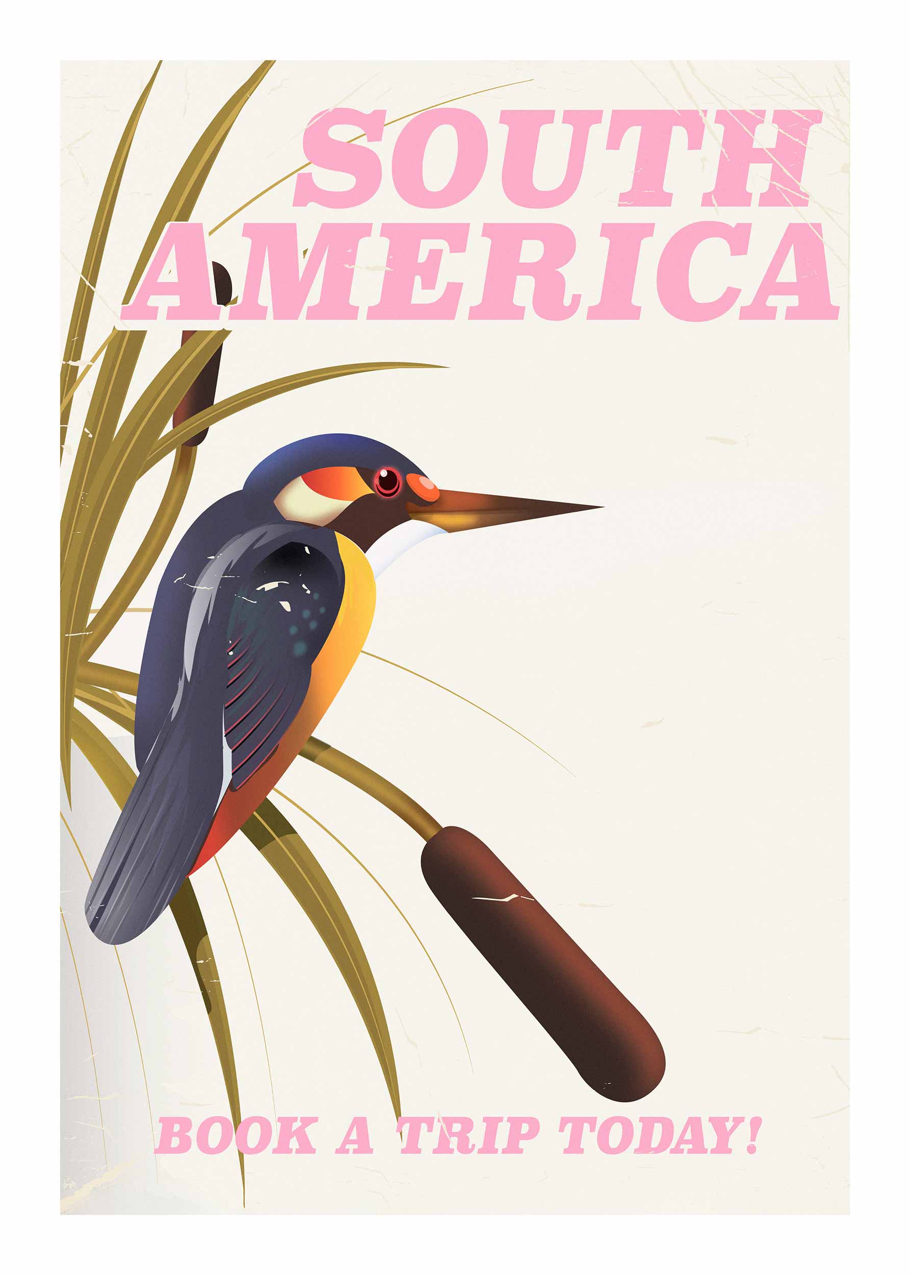 South America Poster - Tierillustration (50x70 cm)