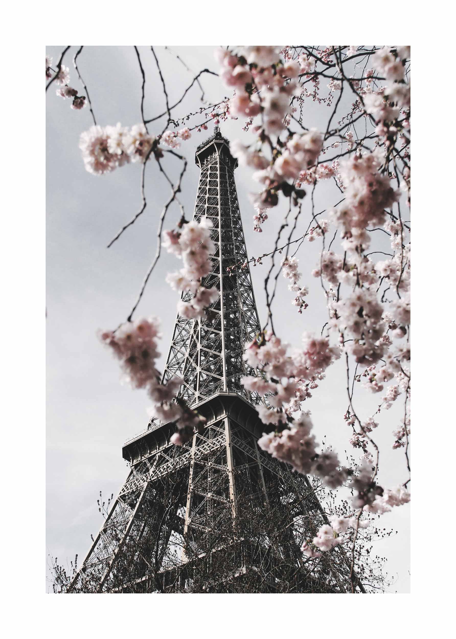 Eiffel Tower in Bloom Poster - Architekturfotografie (30x40 cm)