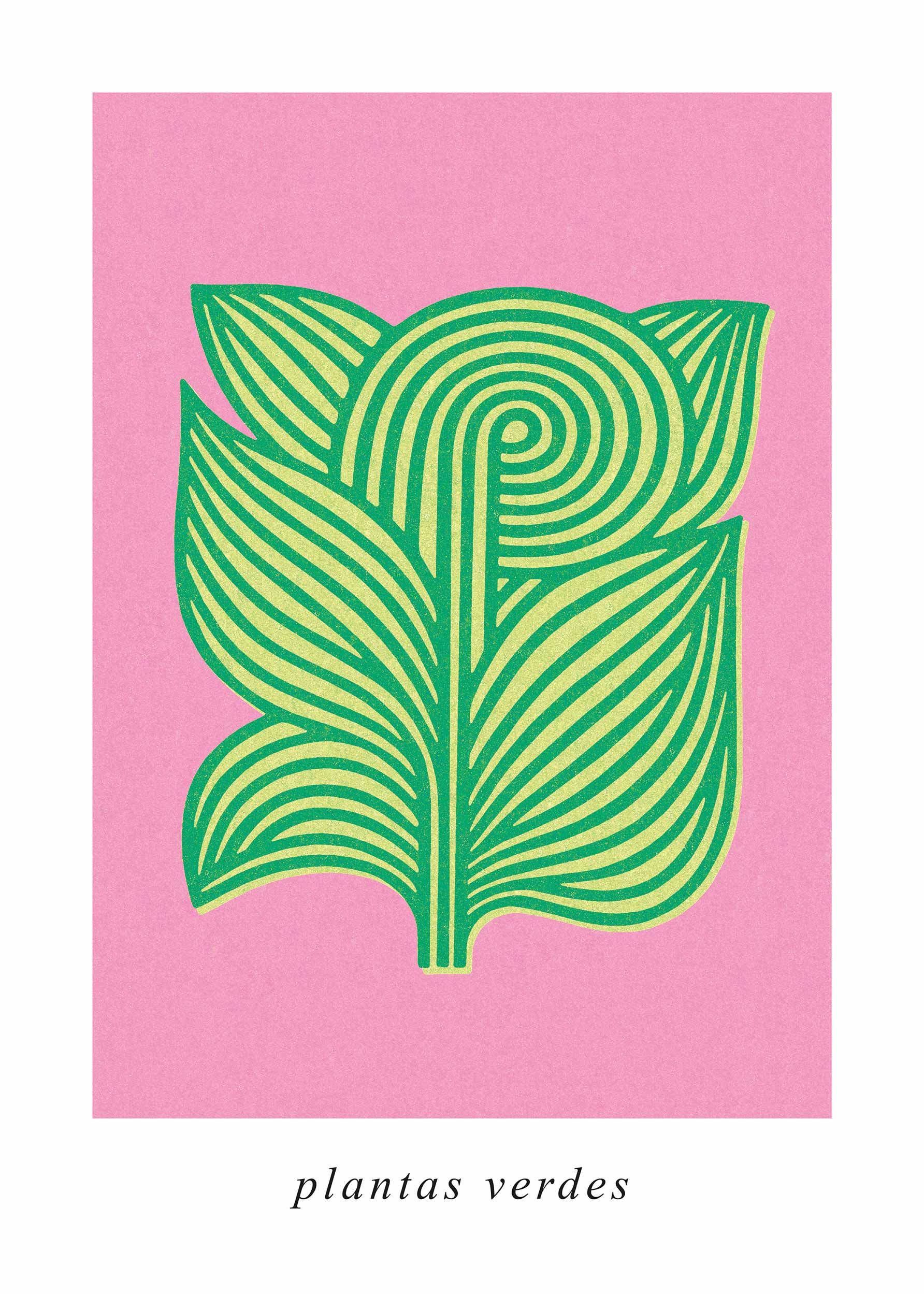 Plantas Verdes Poster - Blattillustration (50x70 cm)