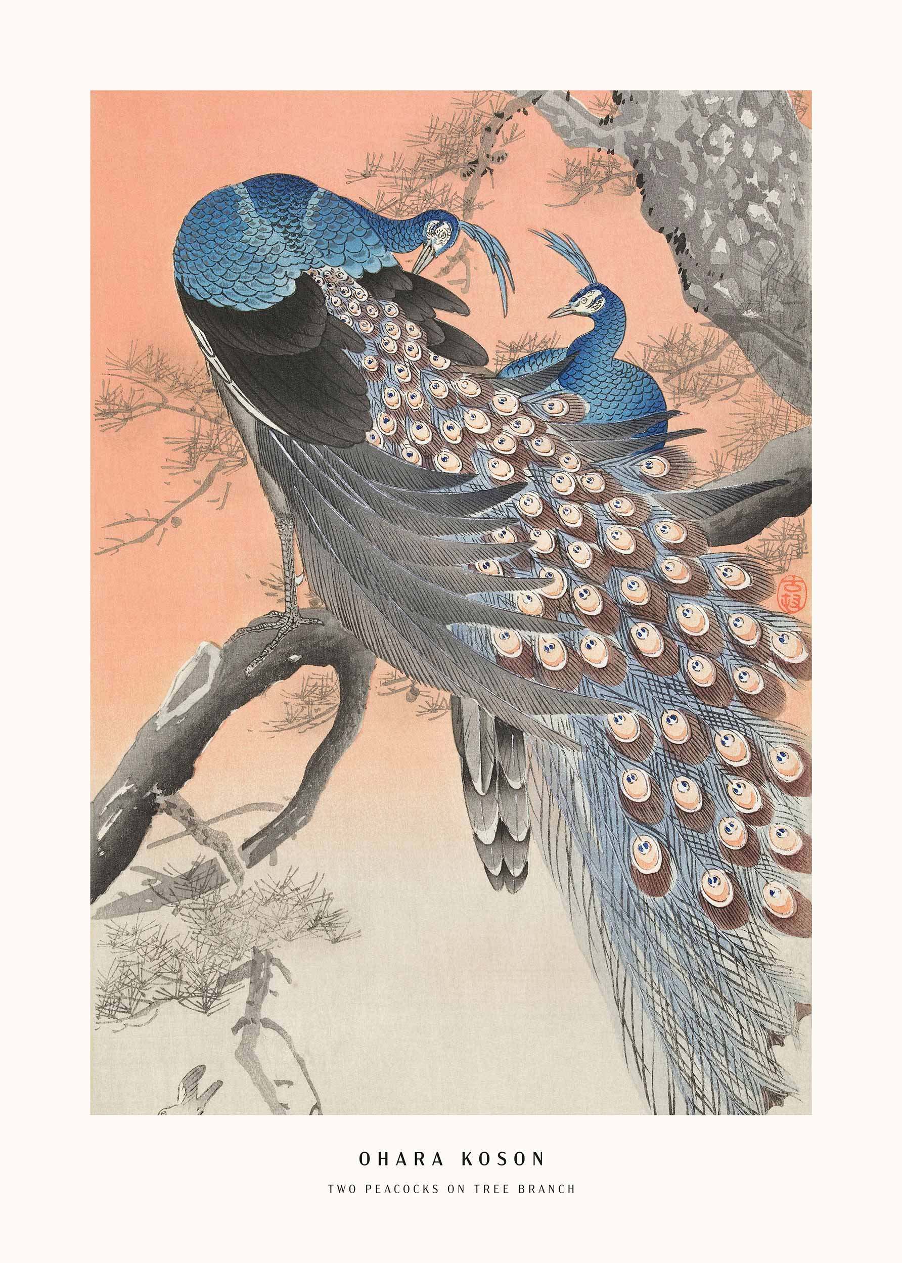 Peacocks by Ohara Koson Poster - Tiergrafik im Vintage-Stil (30x40 cm)