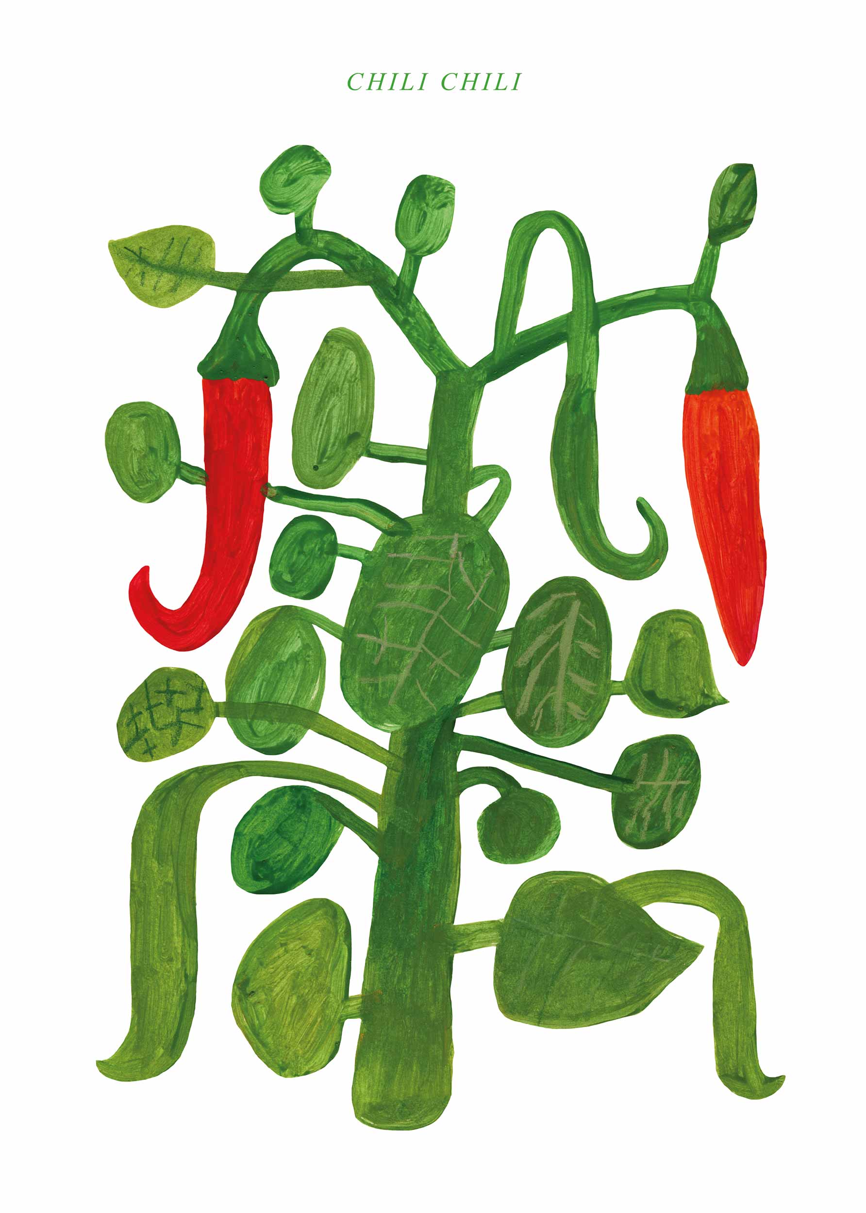 Chili Chili Poster - Pflanzenillustration (30x40 cm)