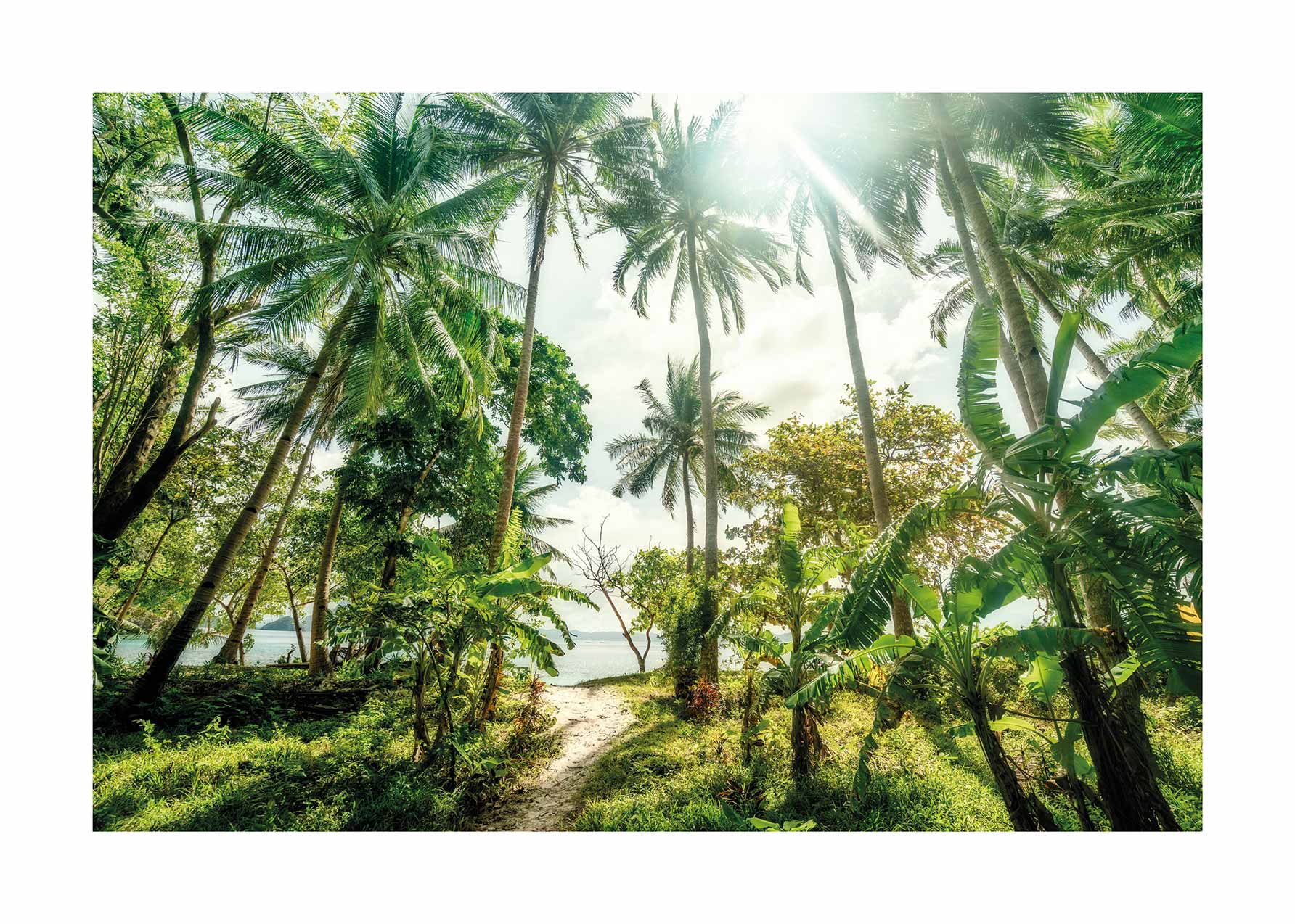 Tropical Beach, Philippines poster - Landscape photography (40x50 cm)