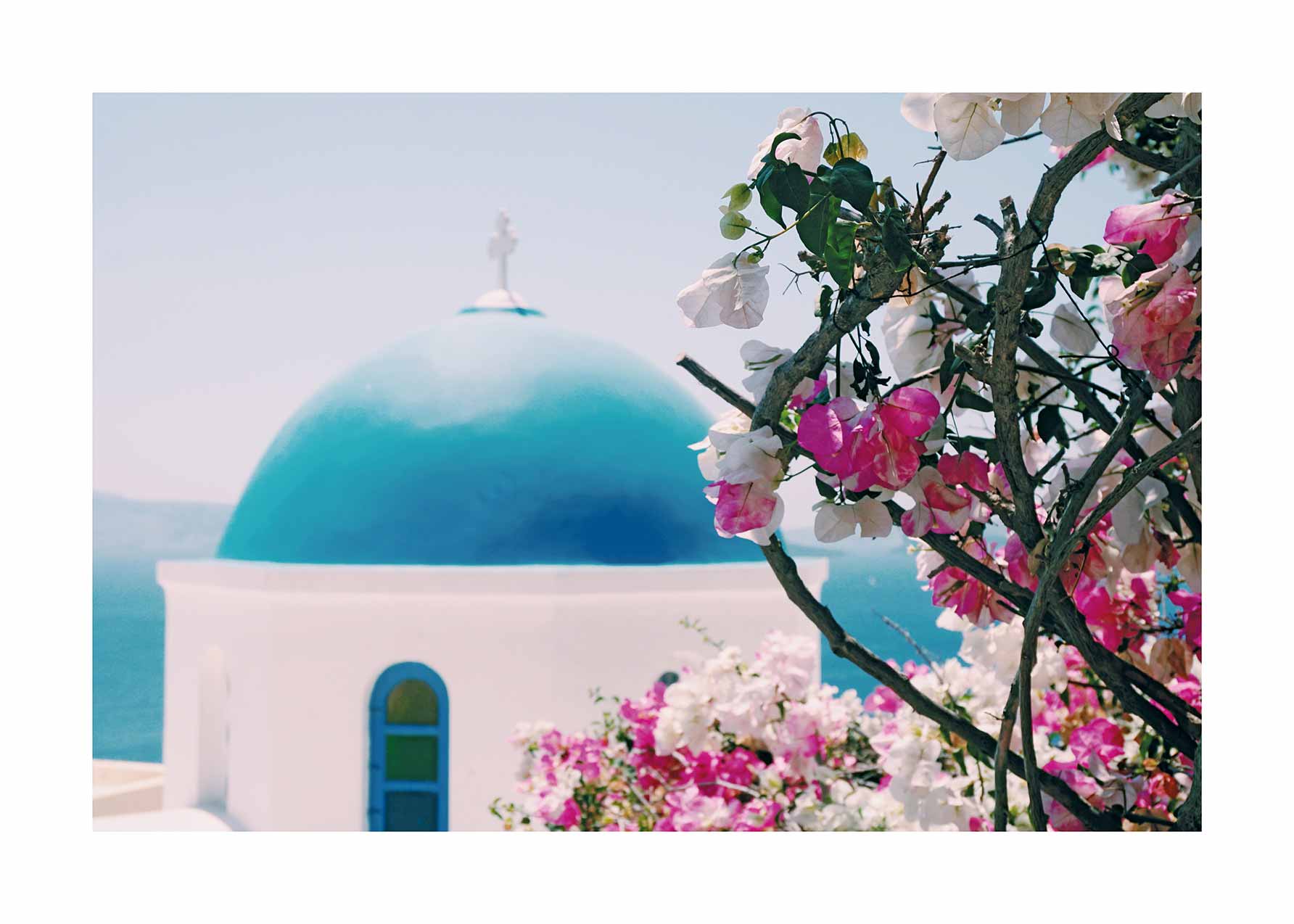 Blooming Flowers in Greece Poster - Architekturfotografie (30x40 cm)