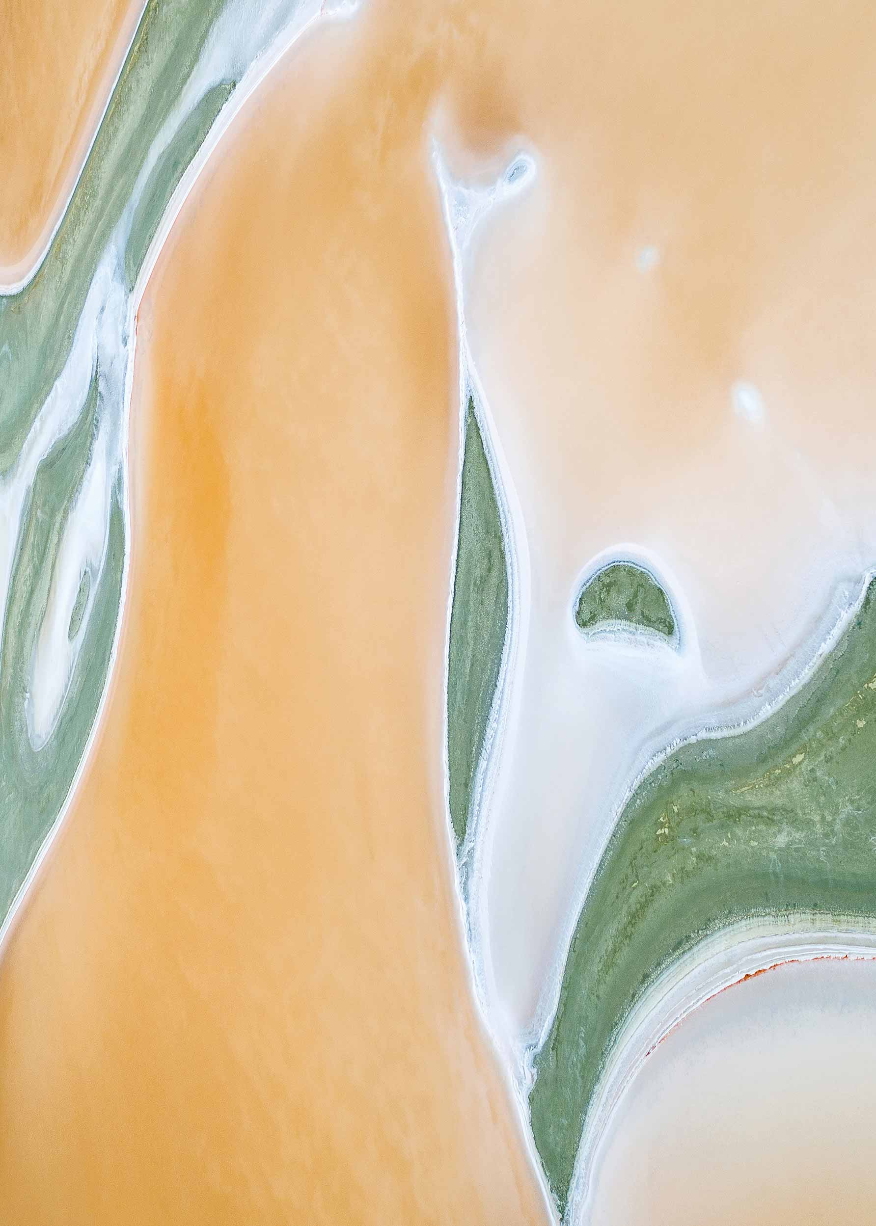 Organic Salt Lake Poster - Abstract illustration (50x70 cm)