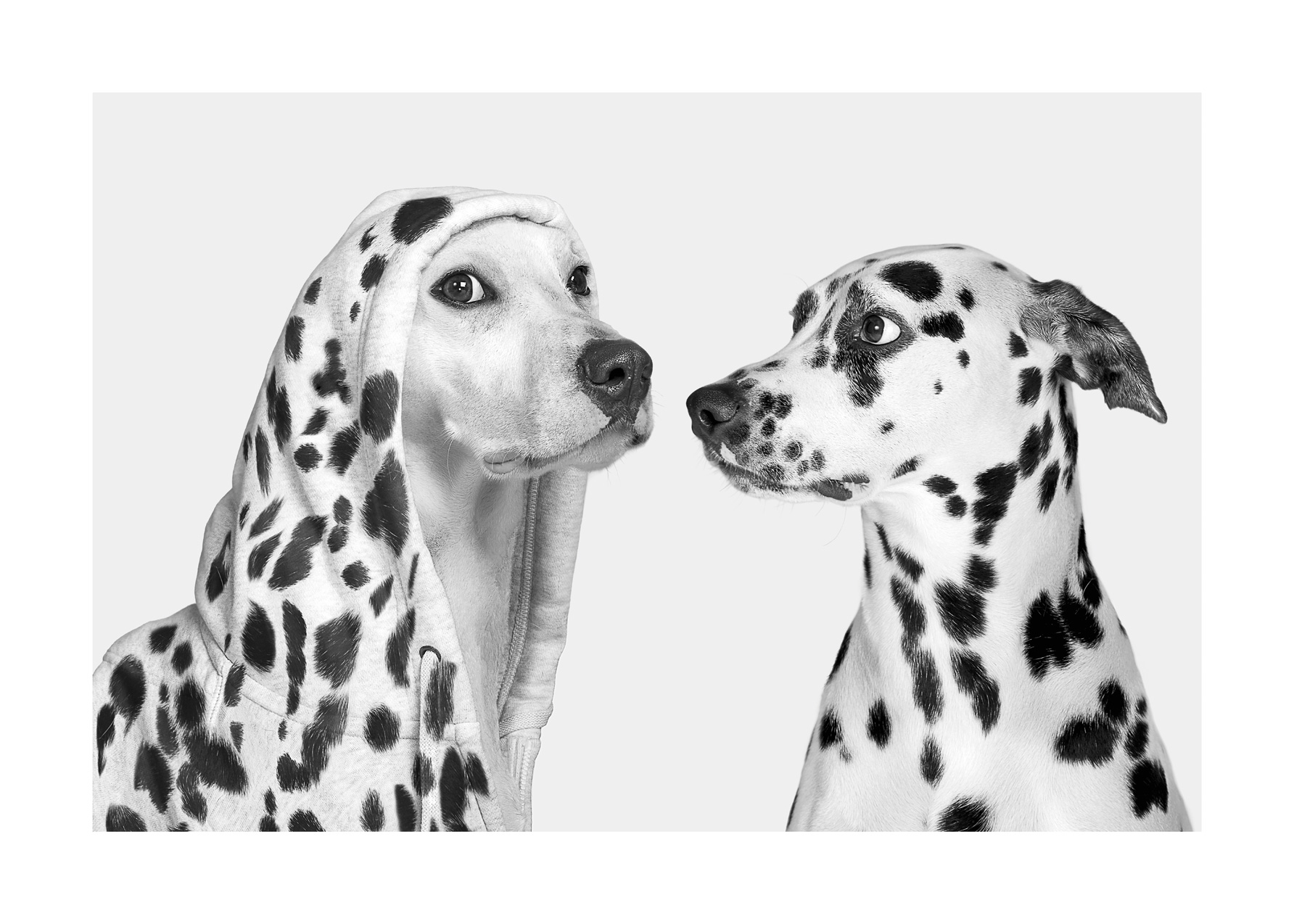 Dotty Dogs Poster - Tierillustration in Schwarzweiß (70x100 cm)