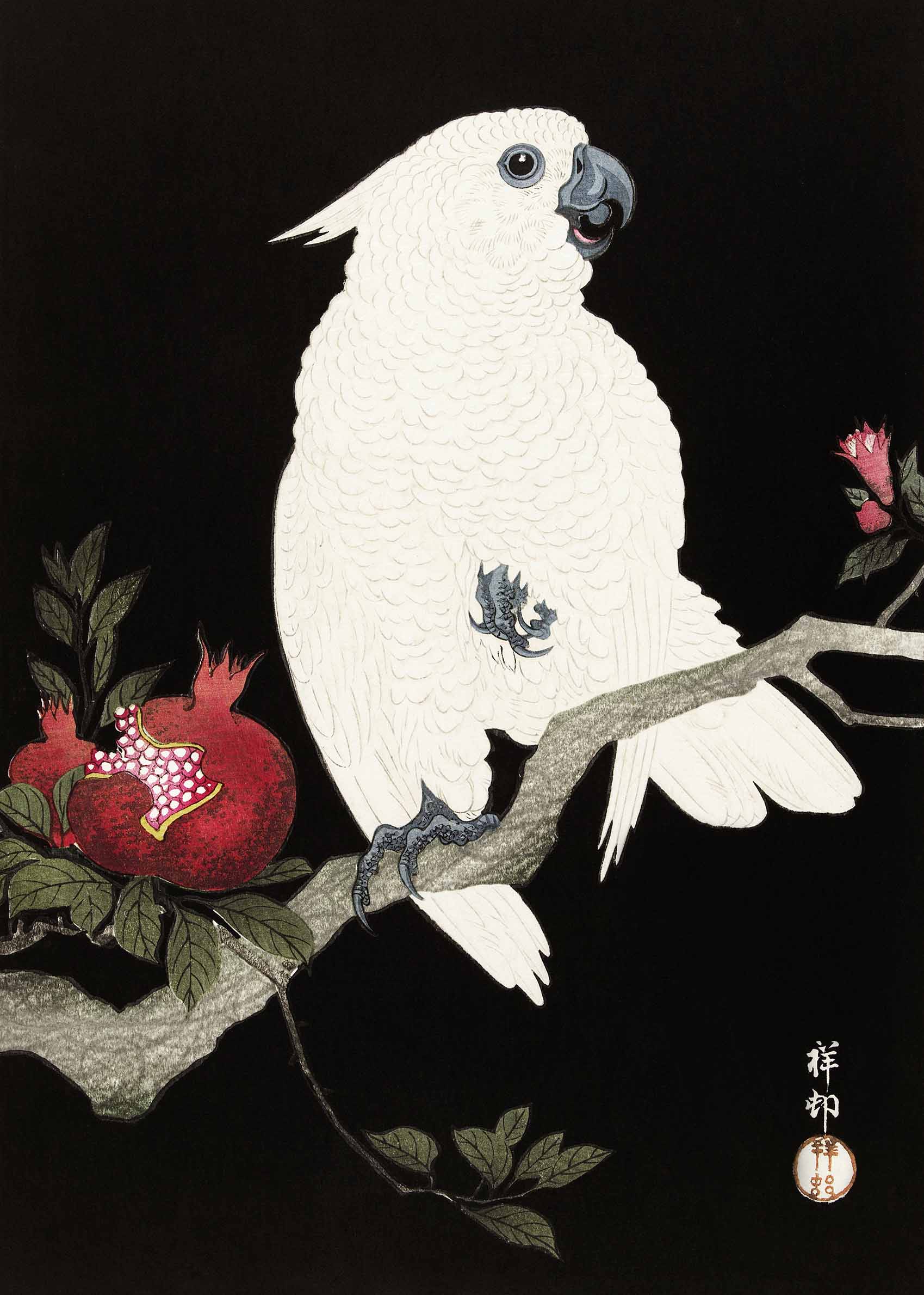 Cockatoo and Pomegranate by Ohara Koson Poster - Tiergrafik (50x70 cm)